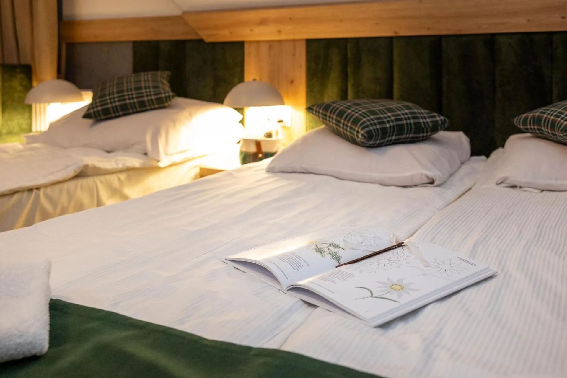 Bed in Willa Bystry Potok