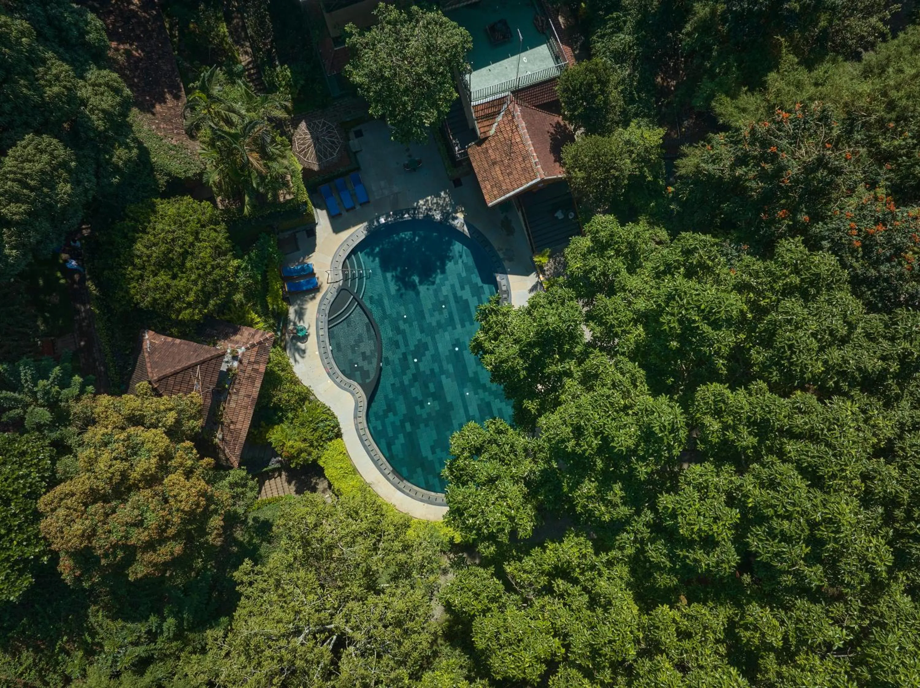 Natural landscape in Cardamom County by Xandari