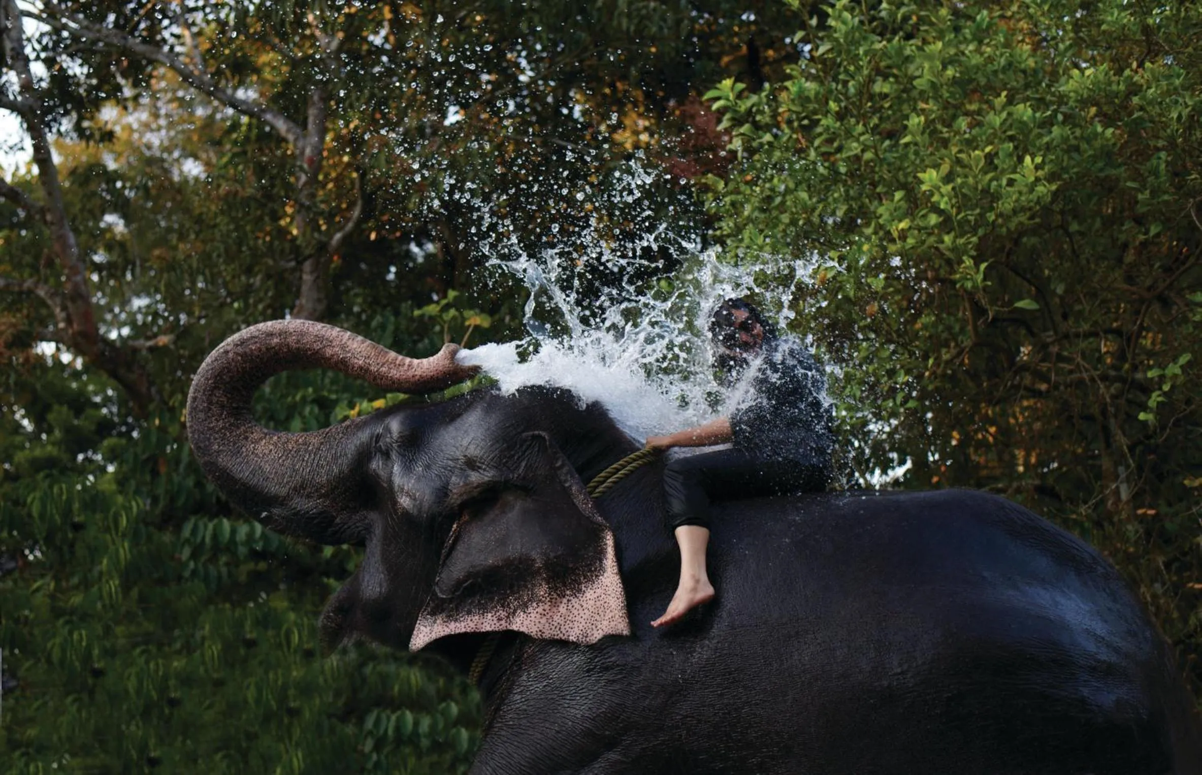 Off site in Cardamom County by Xandari