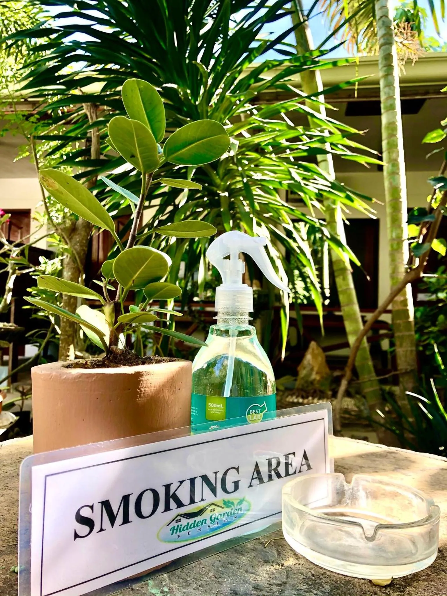 Hidden Garden Pensione