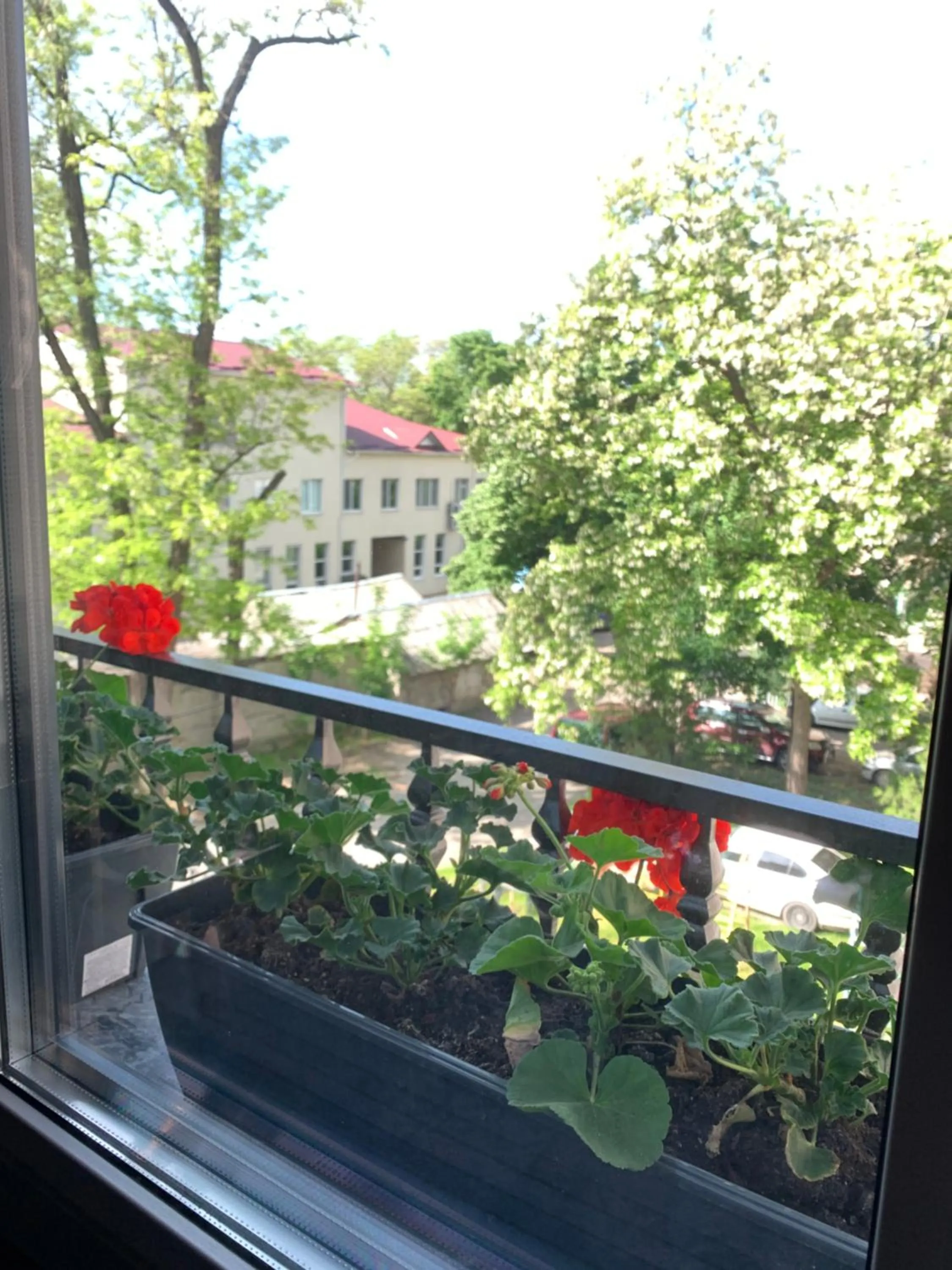 Property building in Plai Hotel