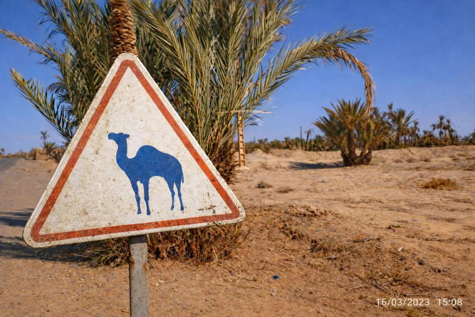 Activities in La Vallée des Dunes - Auberge, randonnées et circuits