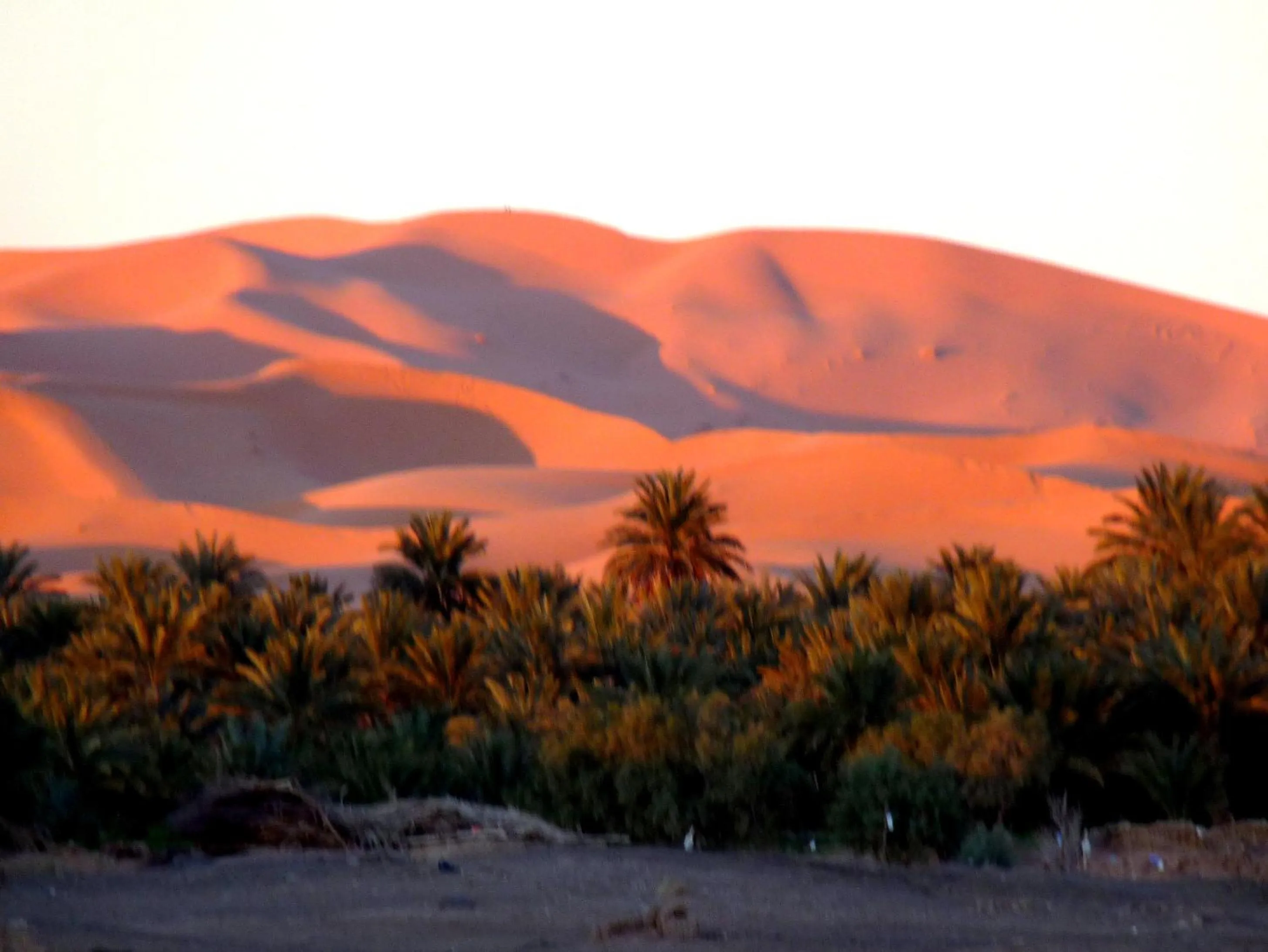 View (from property/room) in La Vallée des Dunes - Auberge, randonnées et circuits