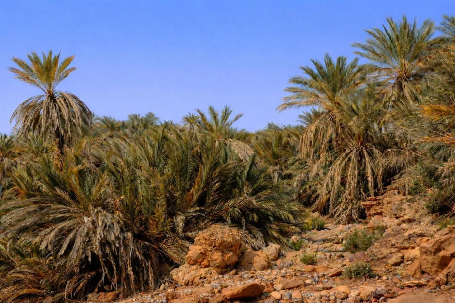Nearby landmark in La Vallée des Dunes - Auberge, randonnées et circuits