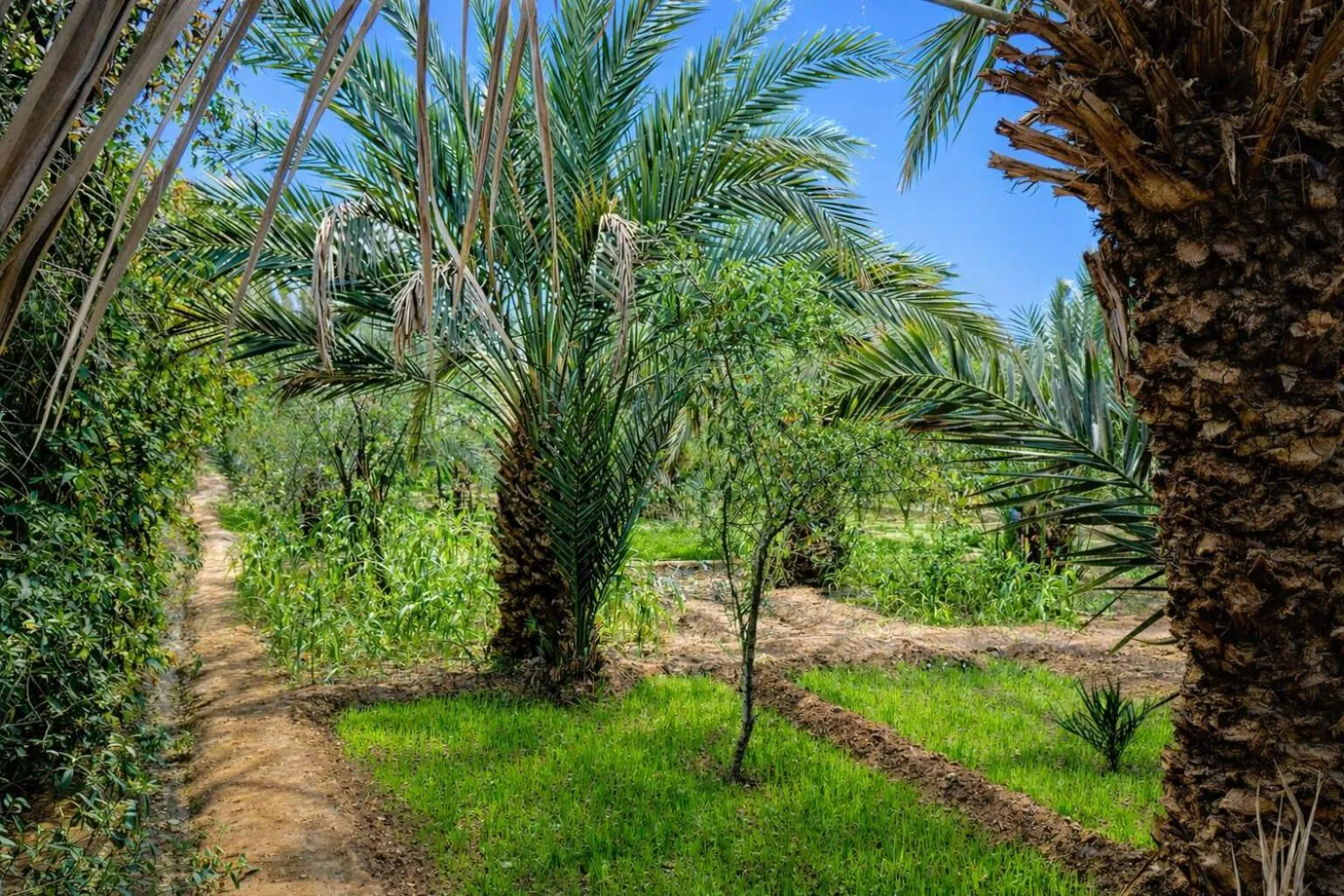 Natural landscape in La Vallée des Dunes - Auberge, randonnées et circuits