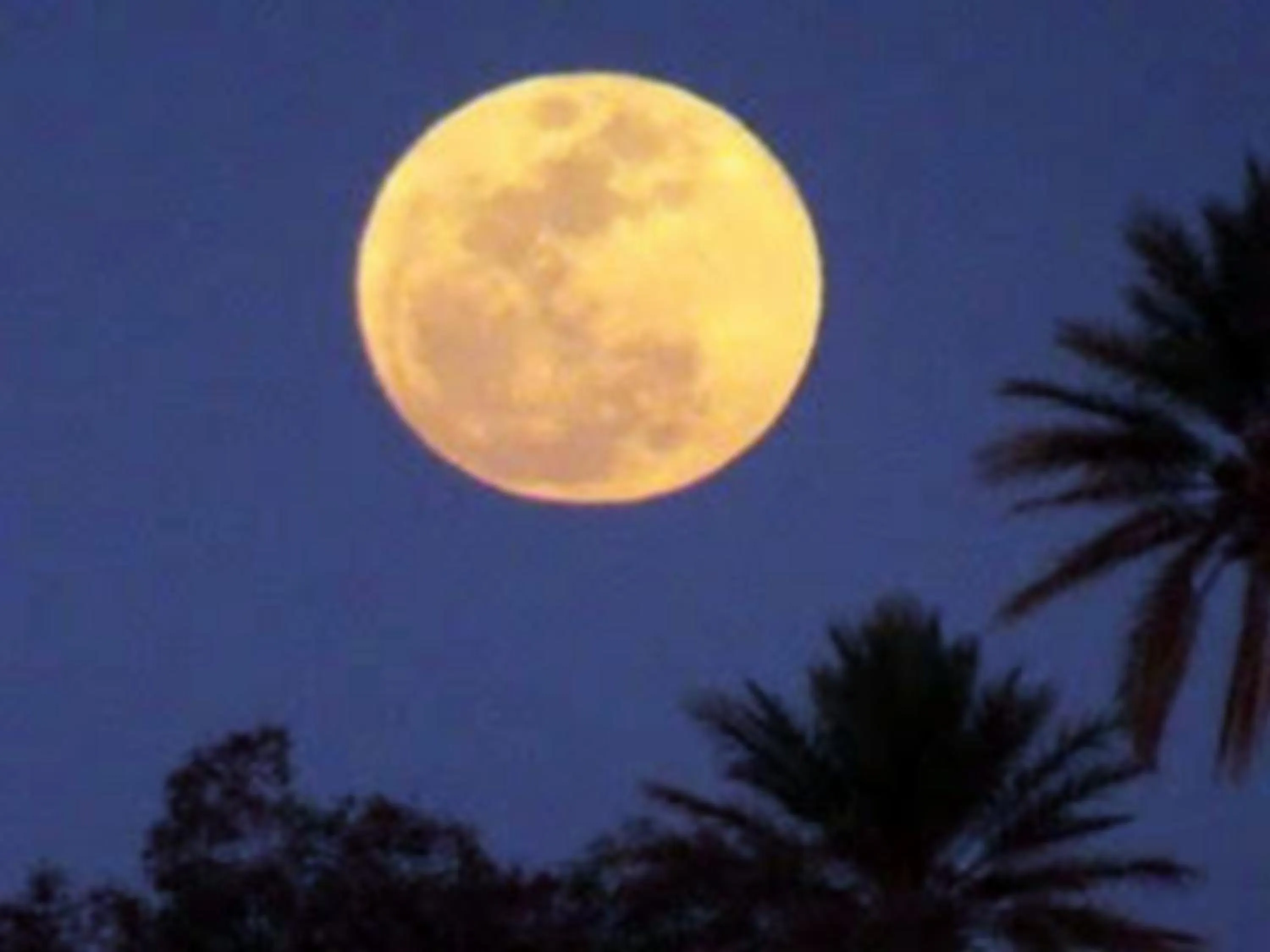 Natural landscape in La Vallée des Dunes - Auberge, randonnées et circuits
