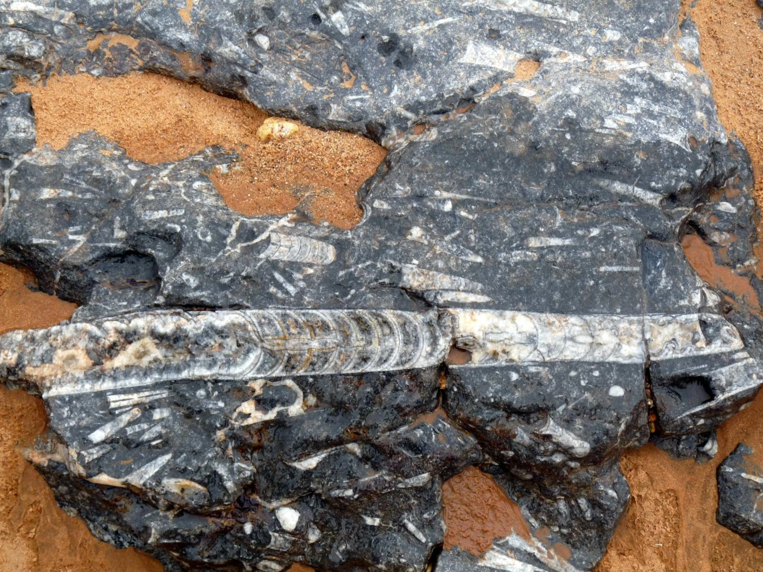 Area and facilities in La Vallée des Dunes - Auberge, randonnées et circuits