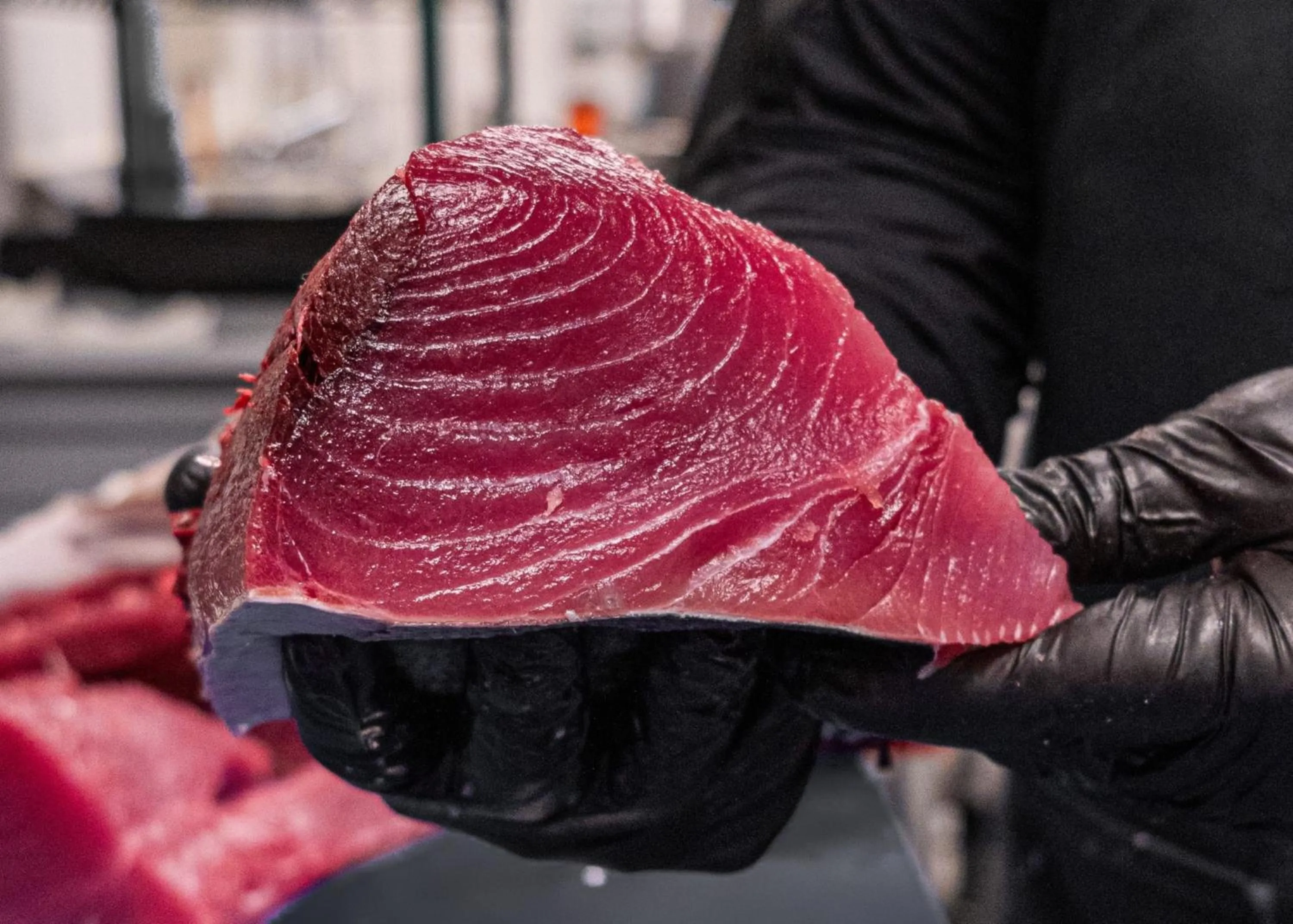 Restaurant/places to eat in InterContinental San Diego by IHG