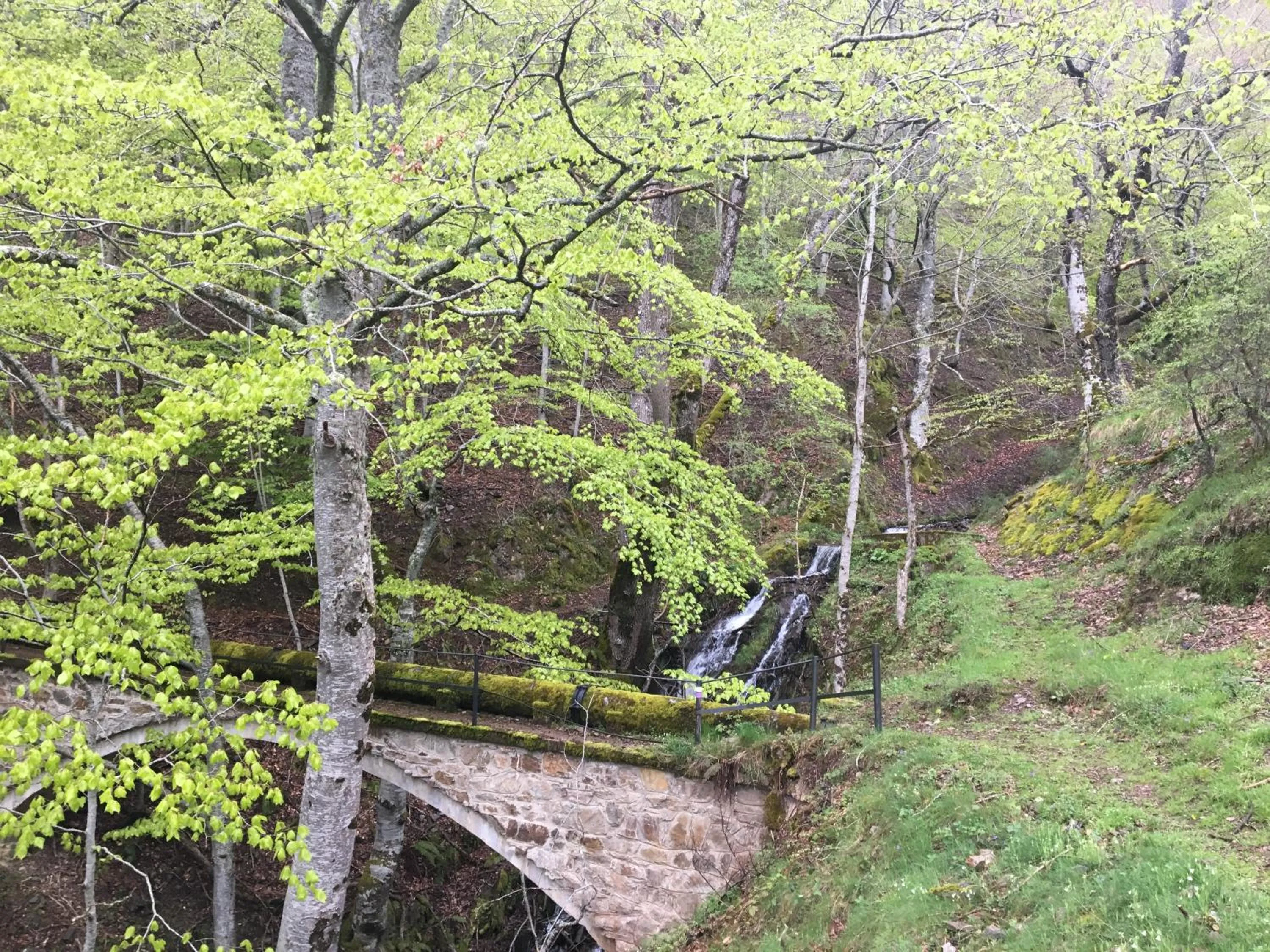 Hiking in MONASTERIO de SANTA MARÍA DE VALVANERA