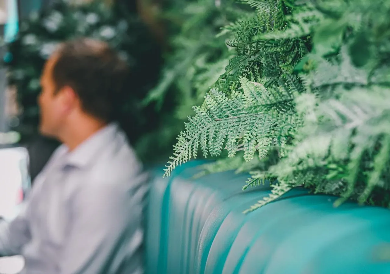 Restaurant/places to eat in The West Park Hotel