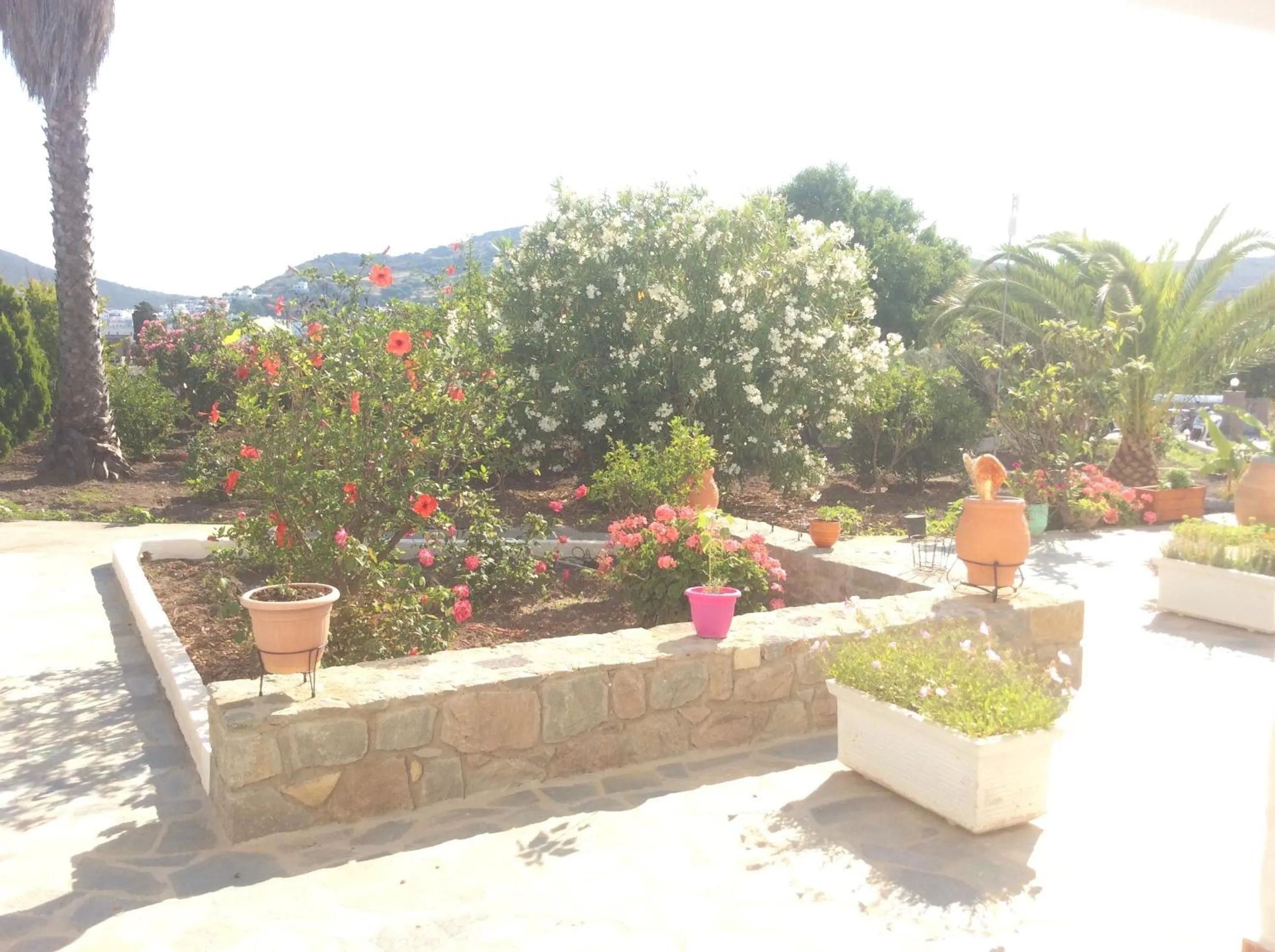 Garden view in Nicolas Studios