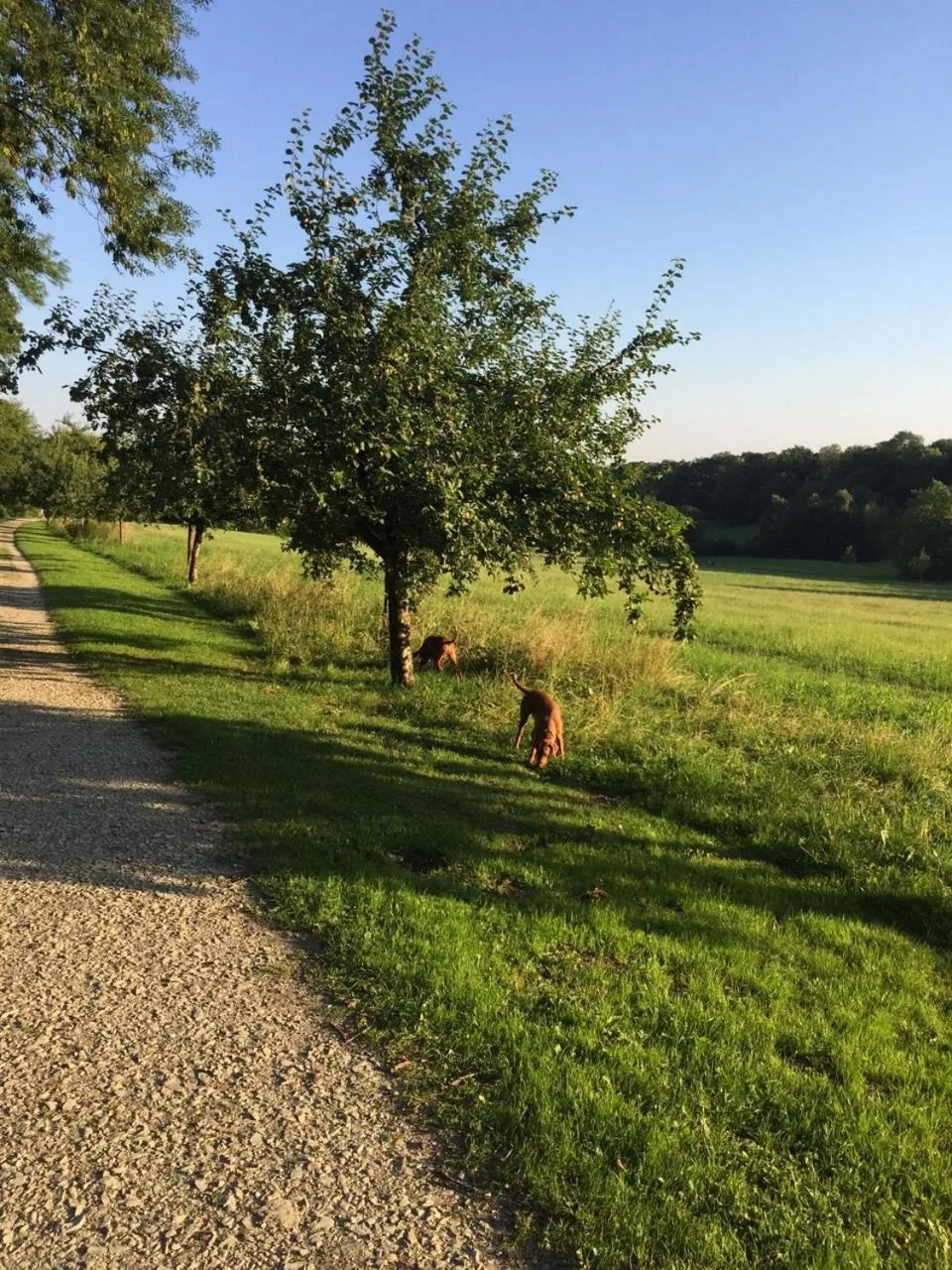 Day in Waldhotel Brand's Busch