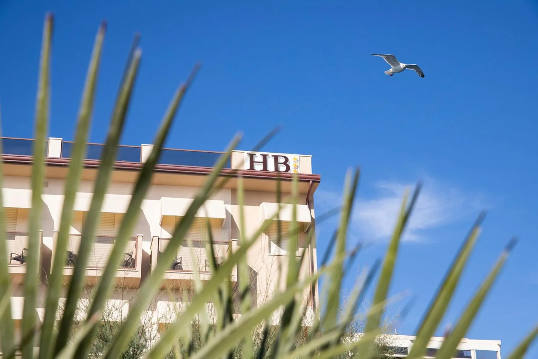 Day in Hotel Biagi & Residence