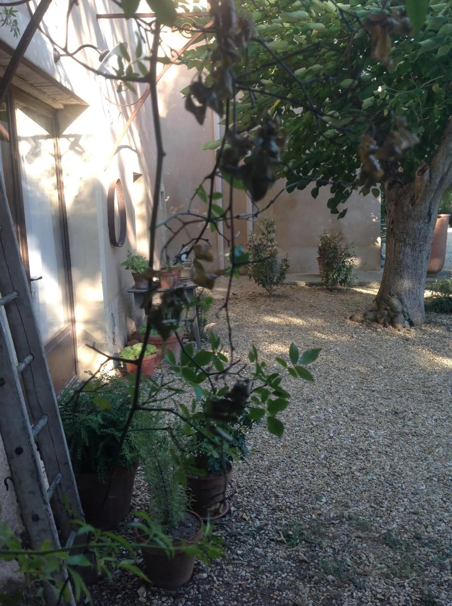 Garden in Le Vieux Portail
