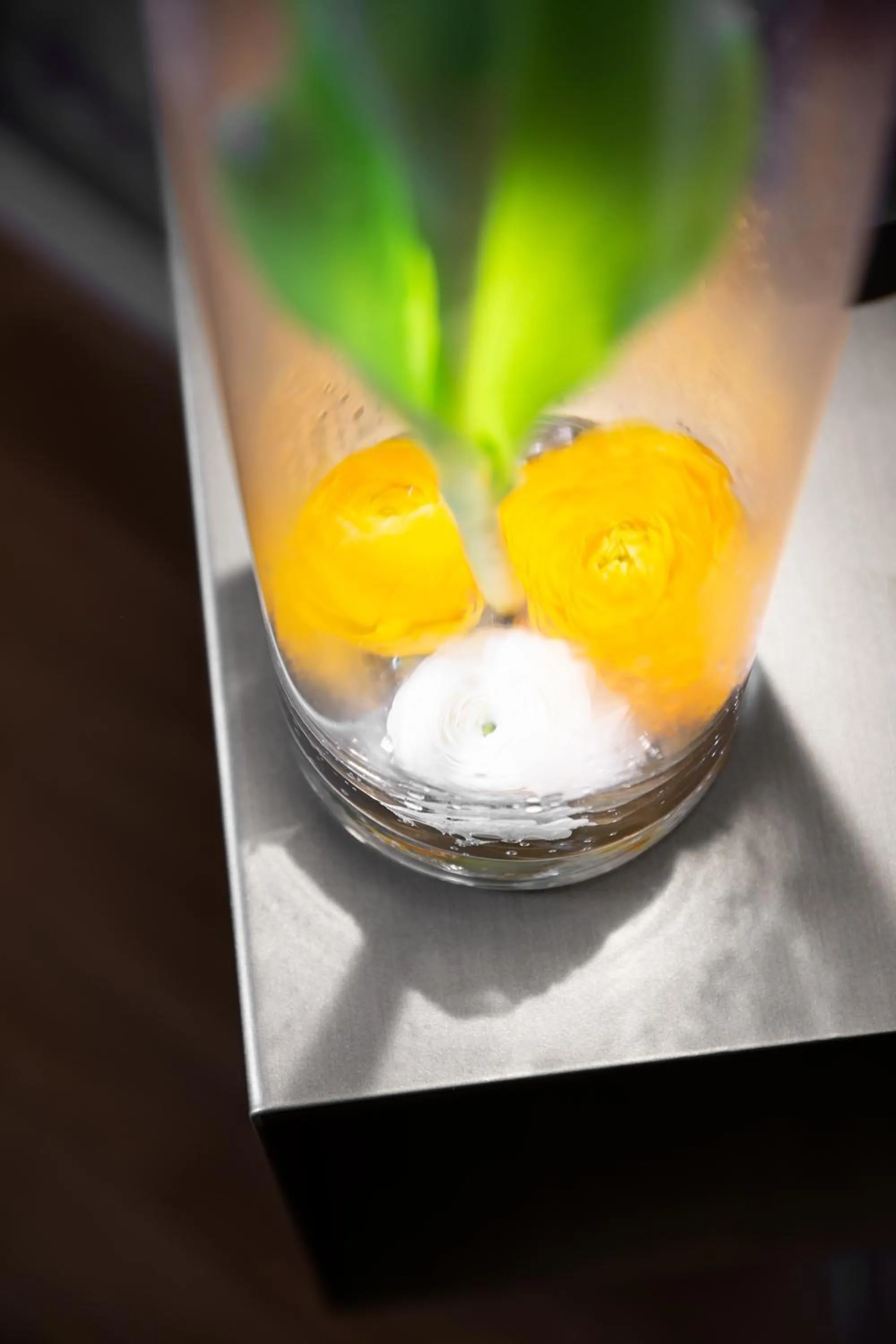 Decorative detail in La Madernassa Resort - Casalora Dimora Storica di Charme