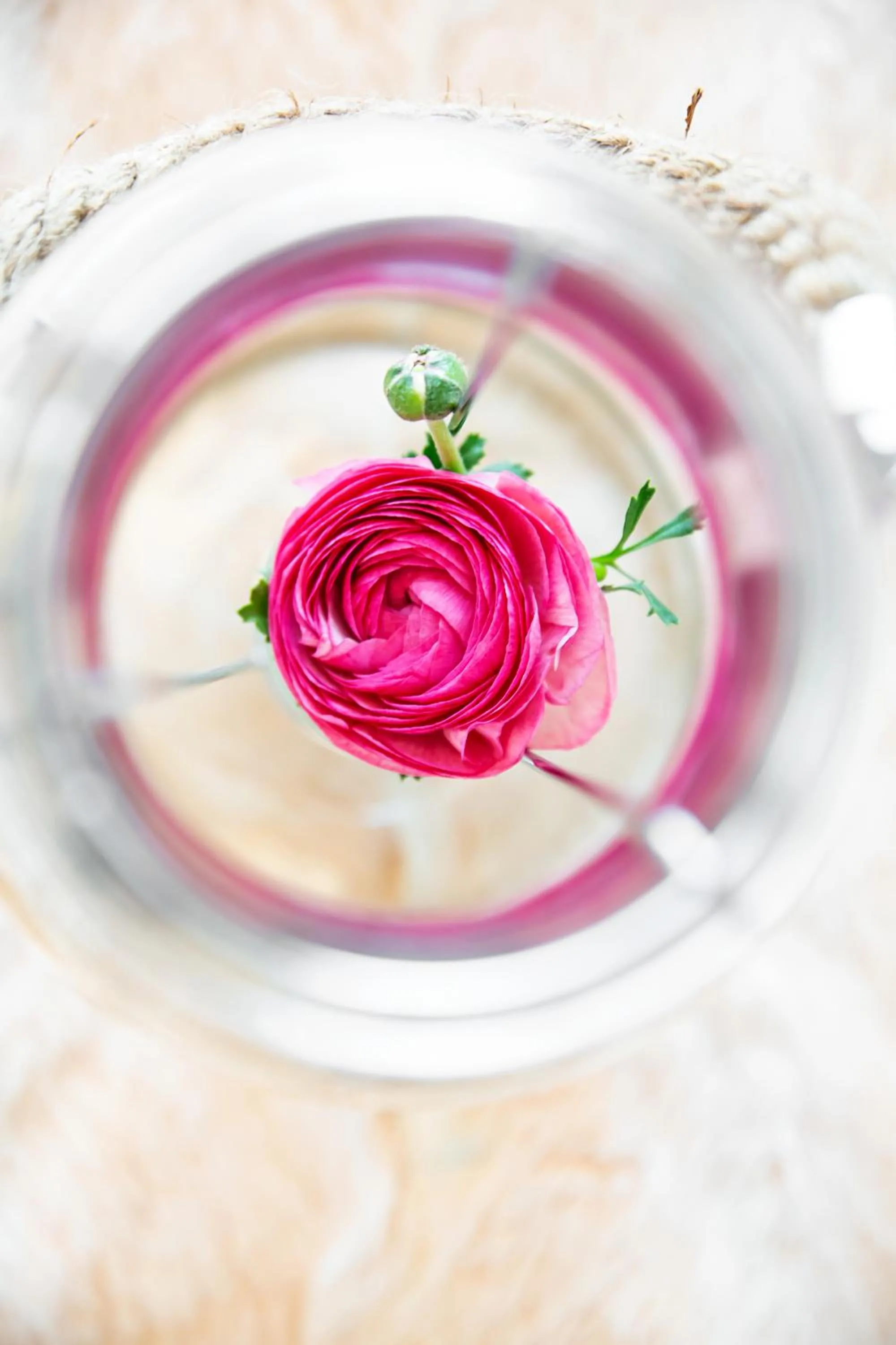 Decorative detail in La Madernassa Resort - Casalora Dimora Storica di Charme