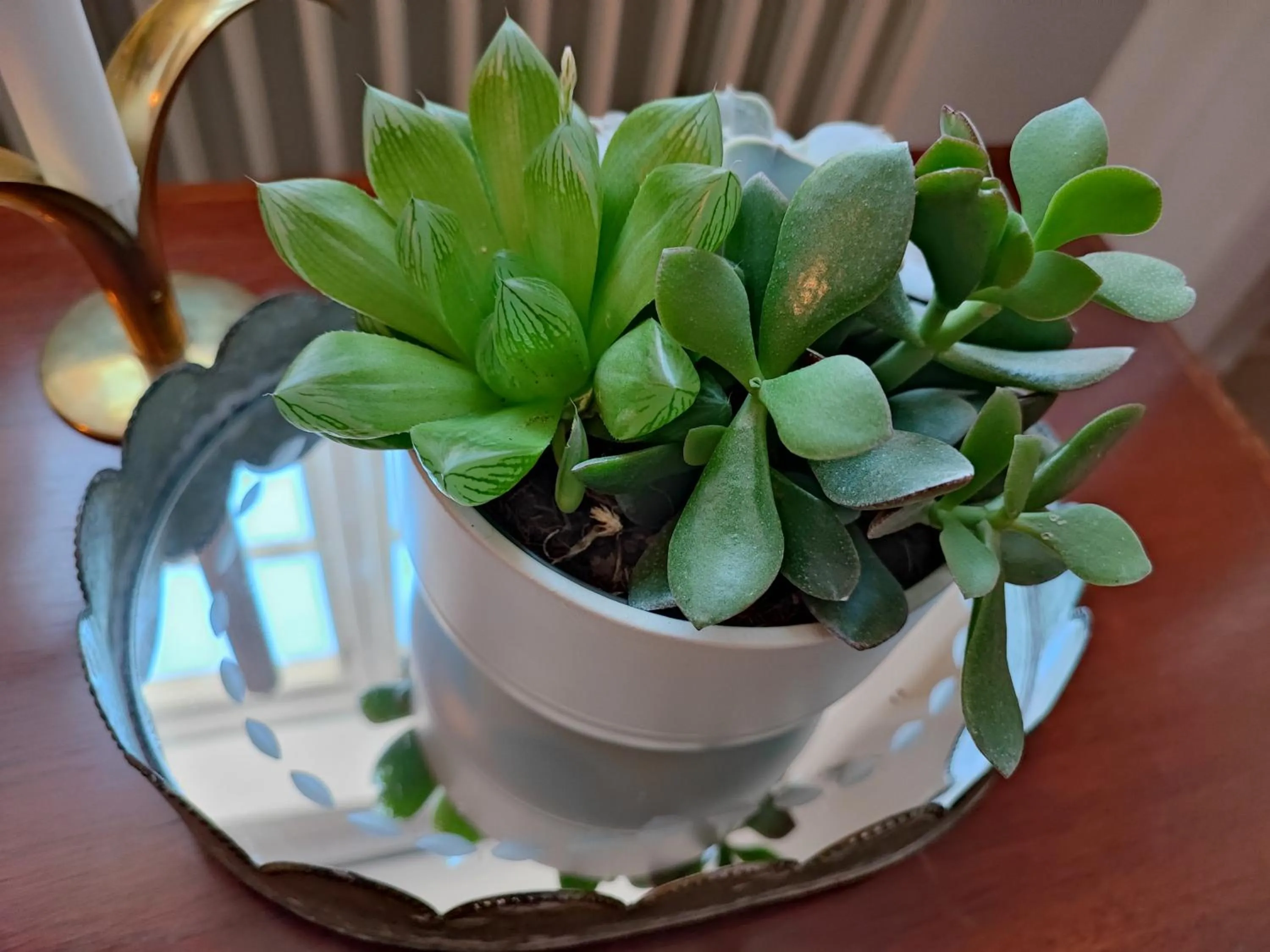 Lobby or reception in Lilla Hotellet