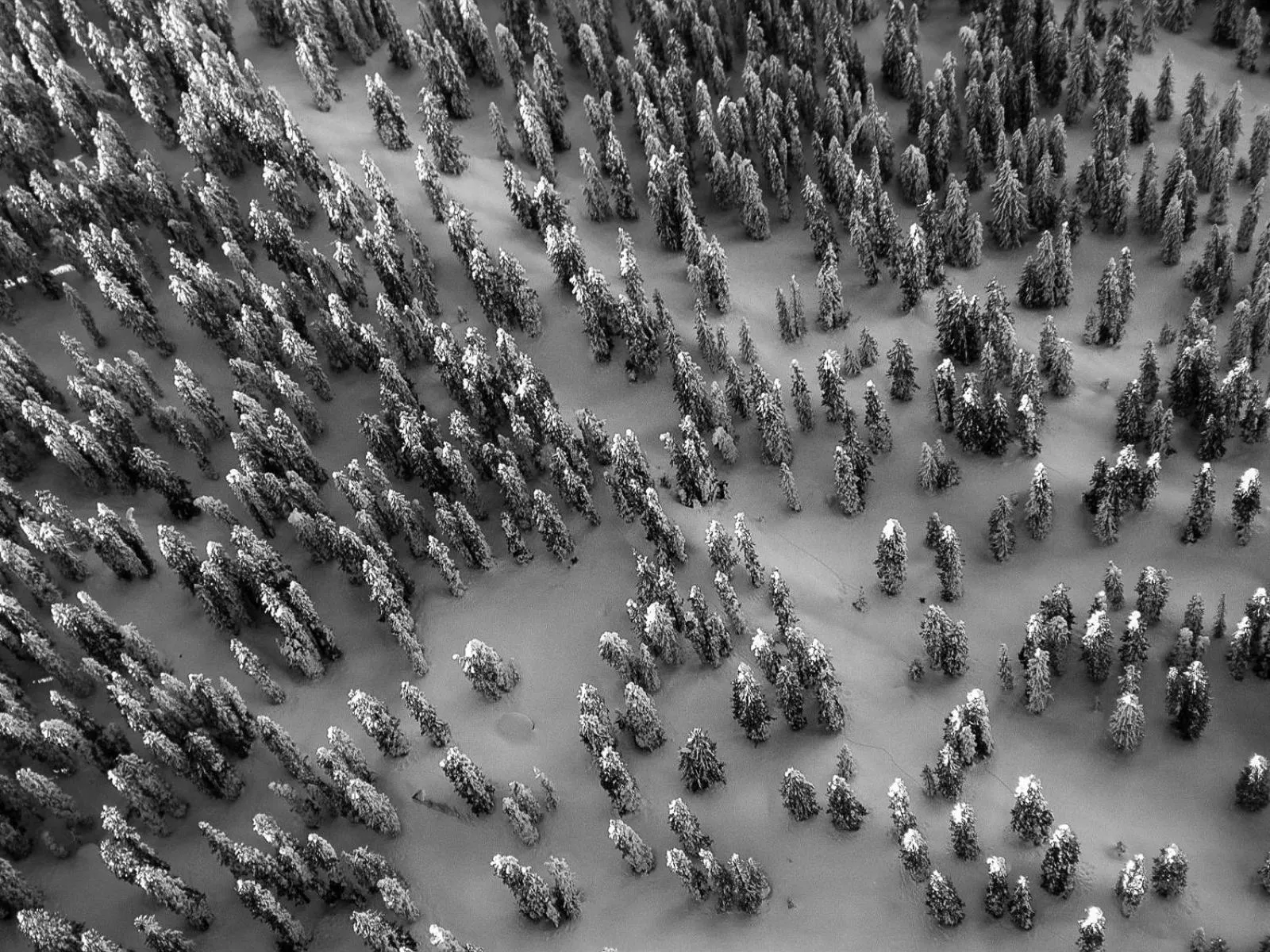 Natural landscape in Arlberg Lodges