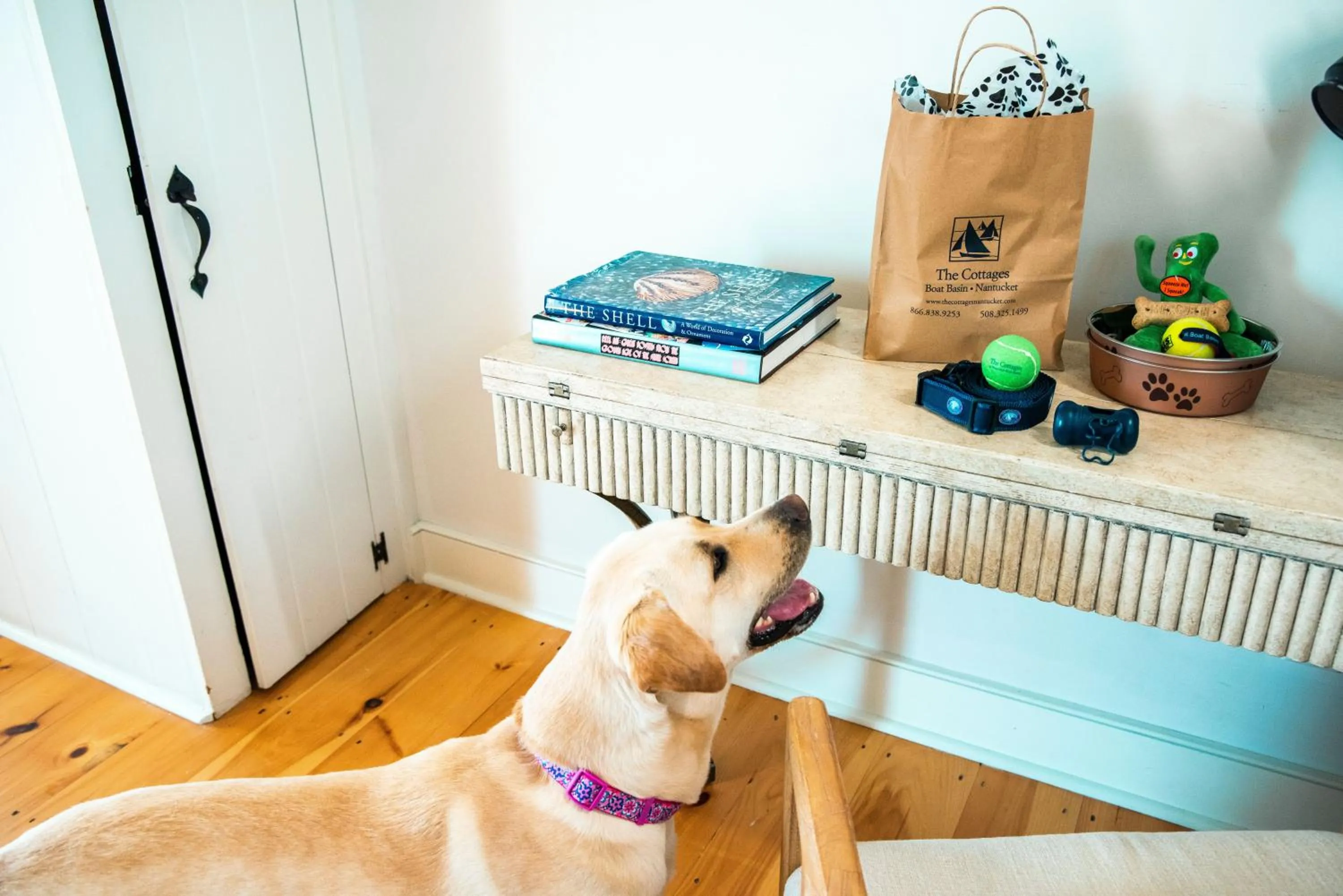 Pets in The Cottages at Nantucket Boat Basin