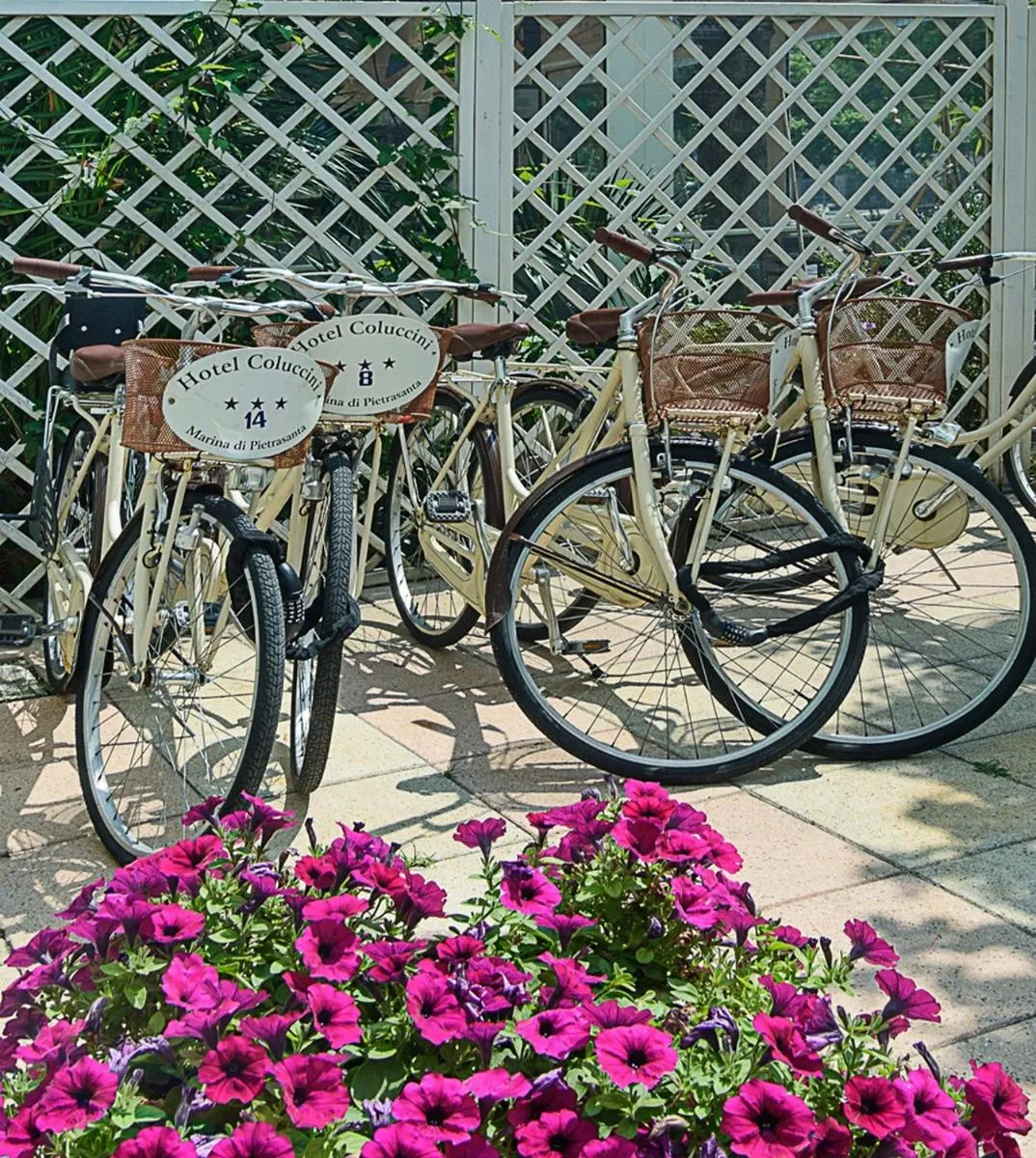 Activities in Hotel Coluccini