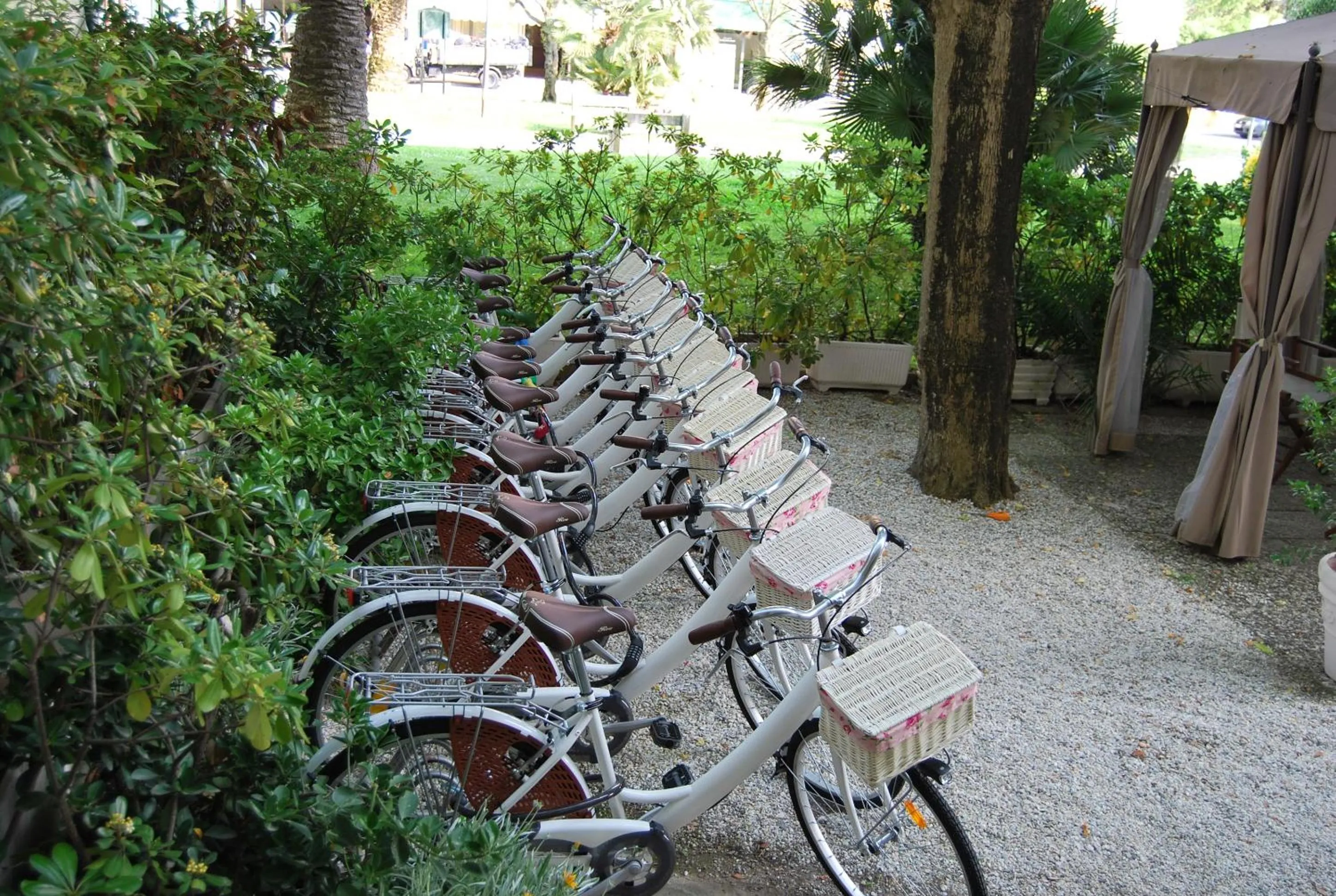 Cycling in Hotel Coluccini