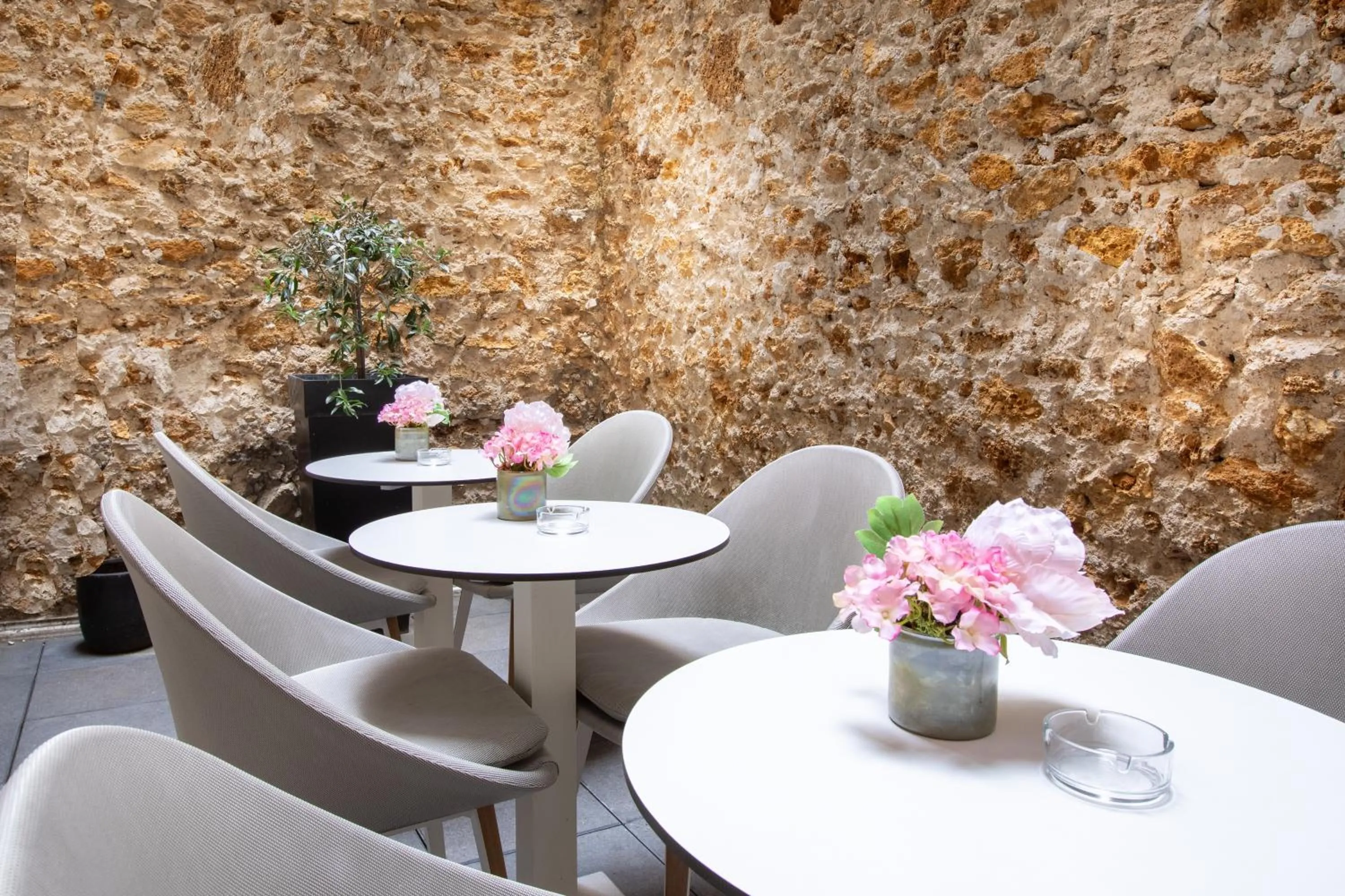 Prince Albert Montmartre