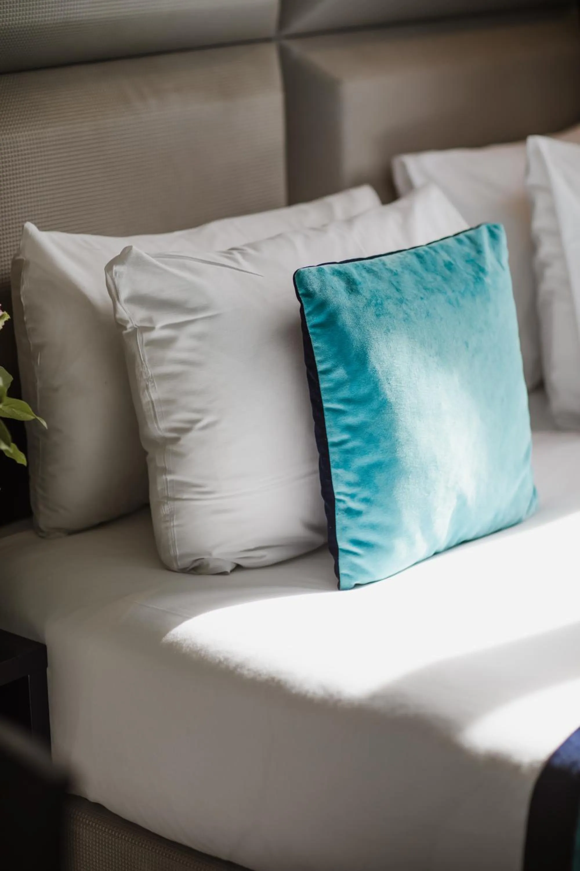 Bed in Prince Albert Montmartre