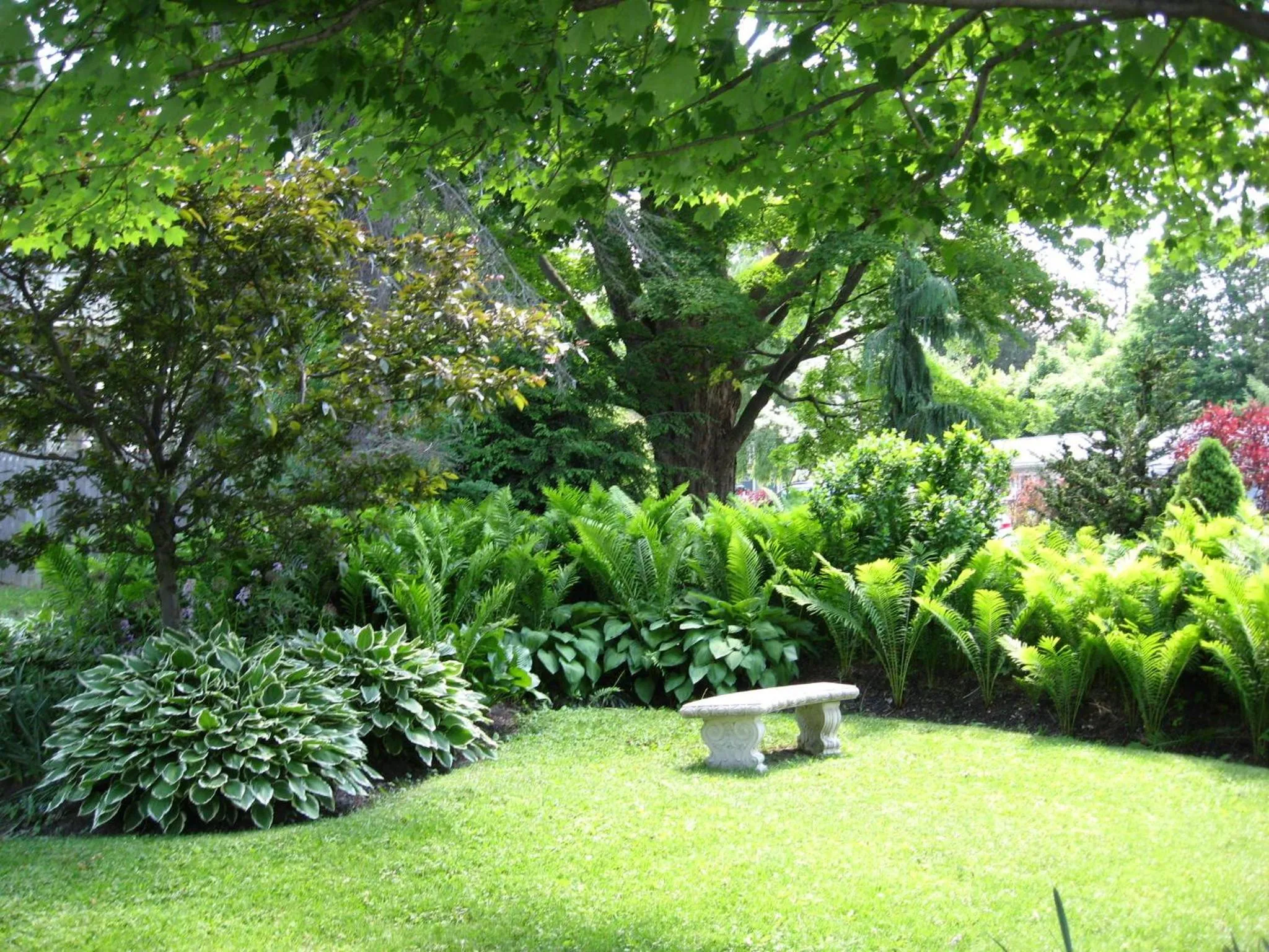 Garden in Maple Terrace Motel