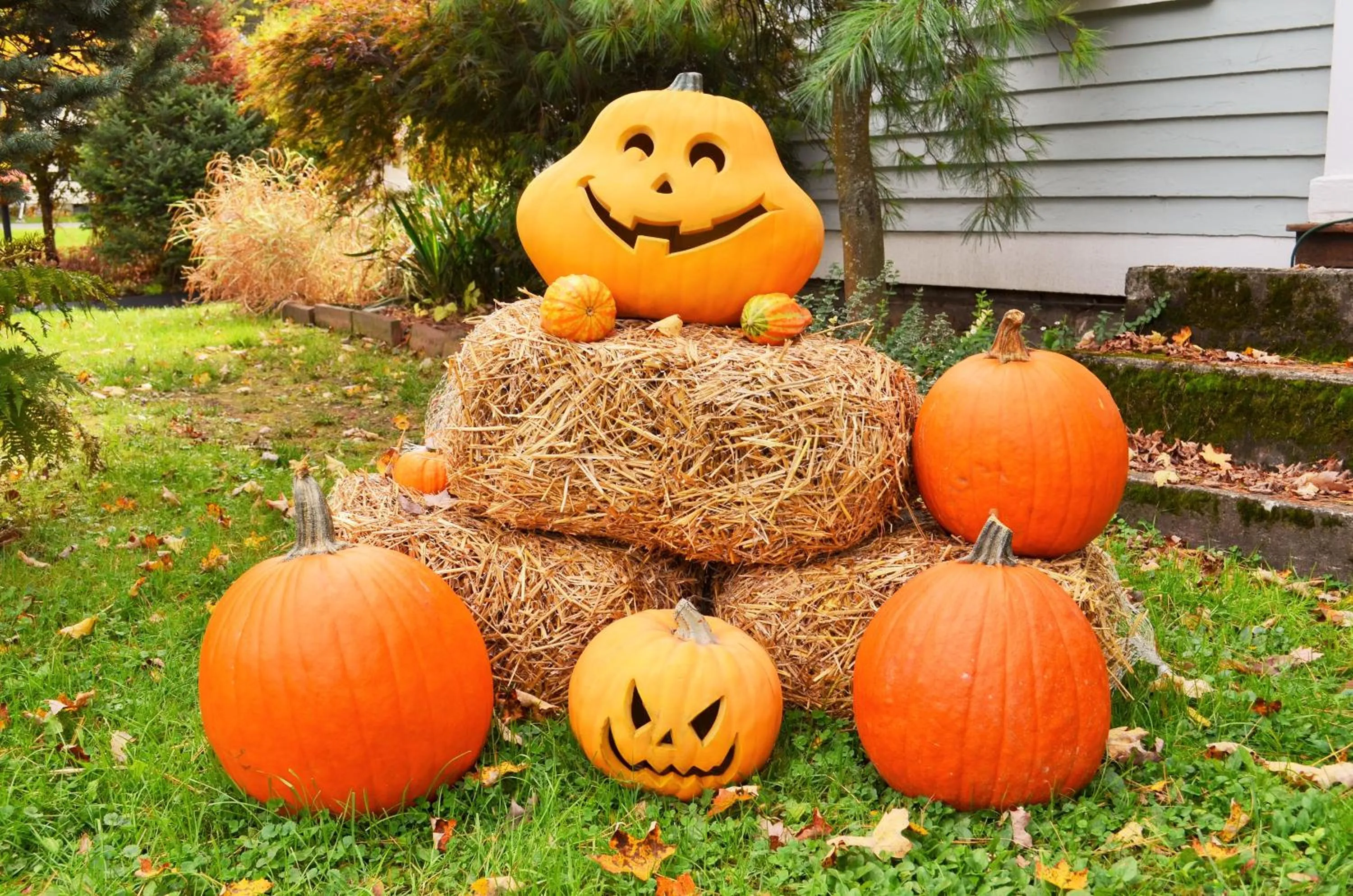 Autumn in Maple Terrace Motel