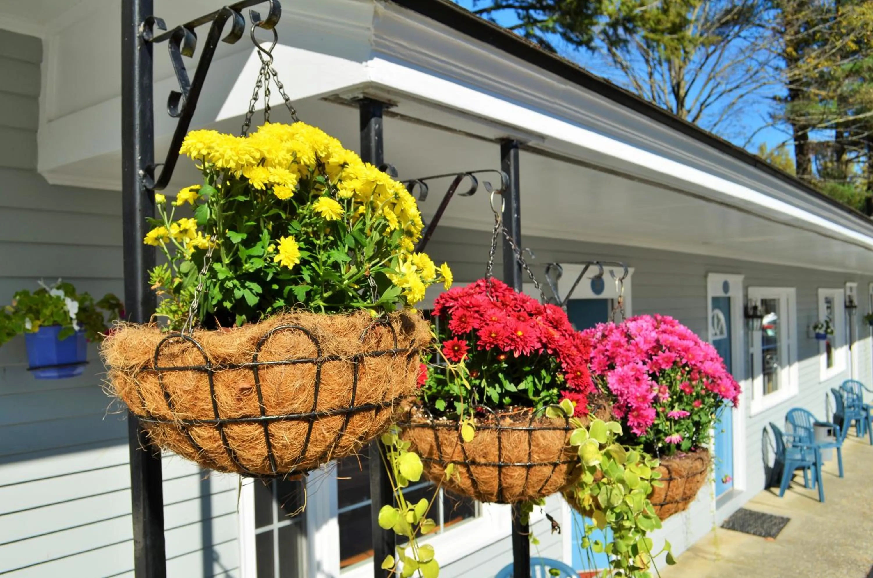 Decorative detail in Maple Terrace Motel