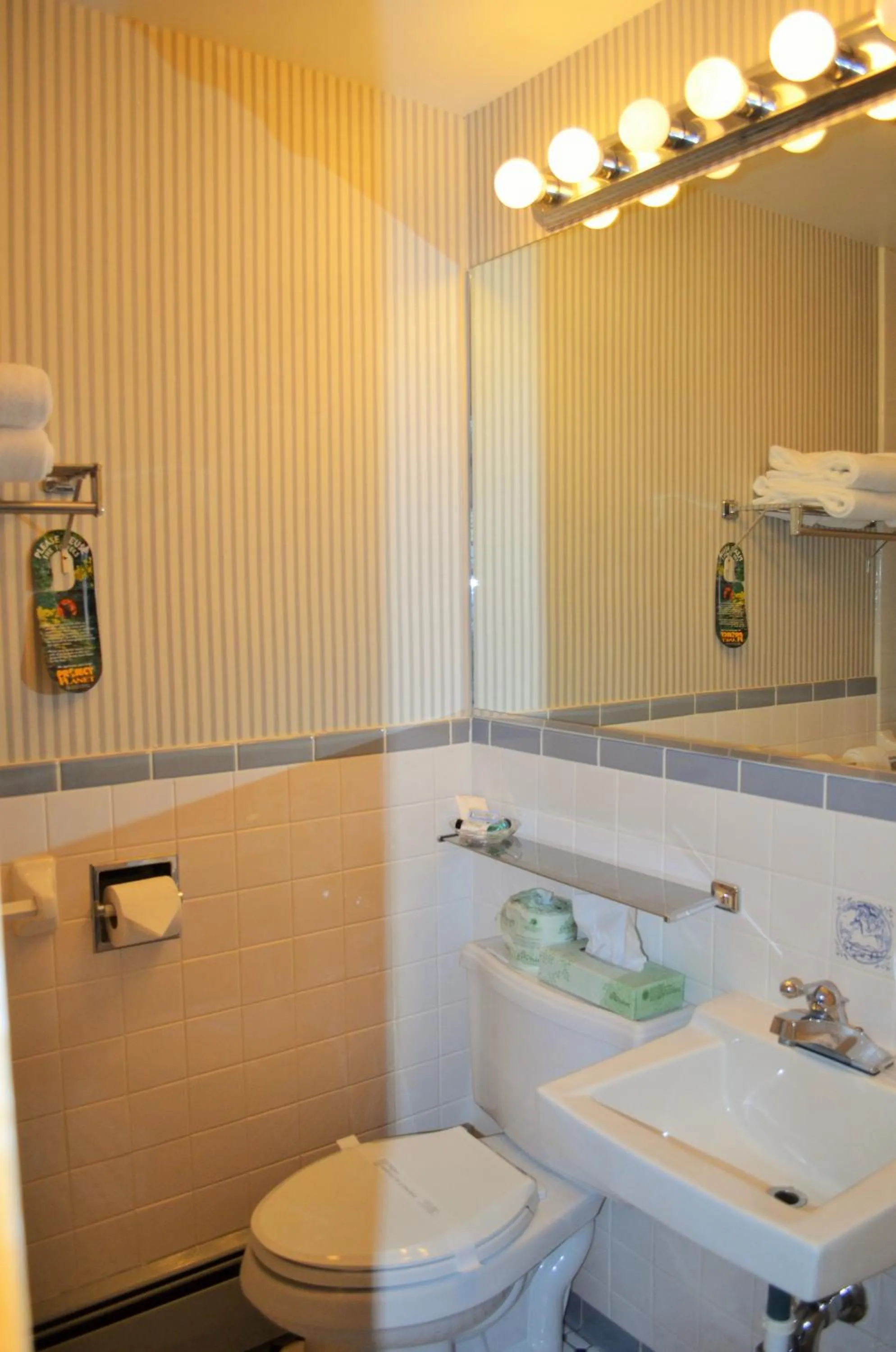 Bathroom in Maple Terrace Motel