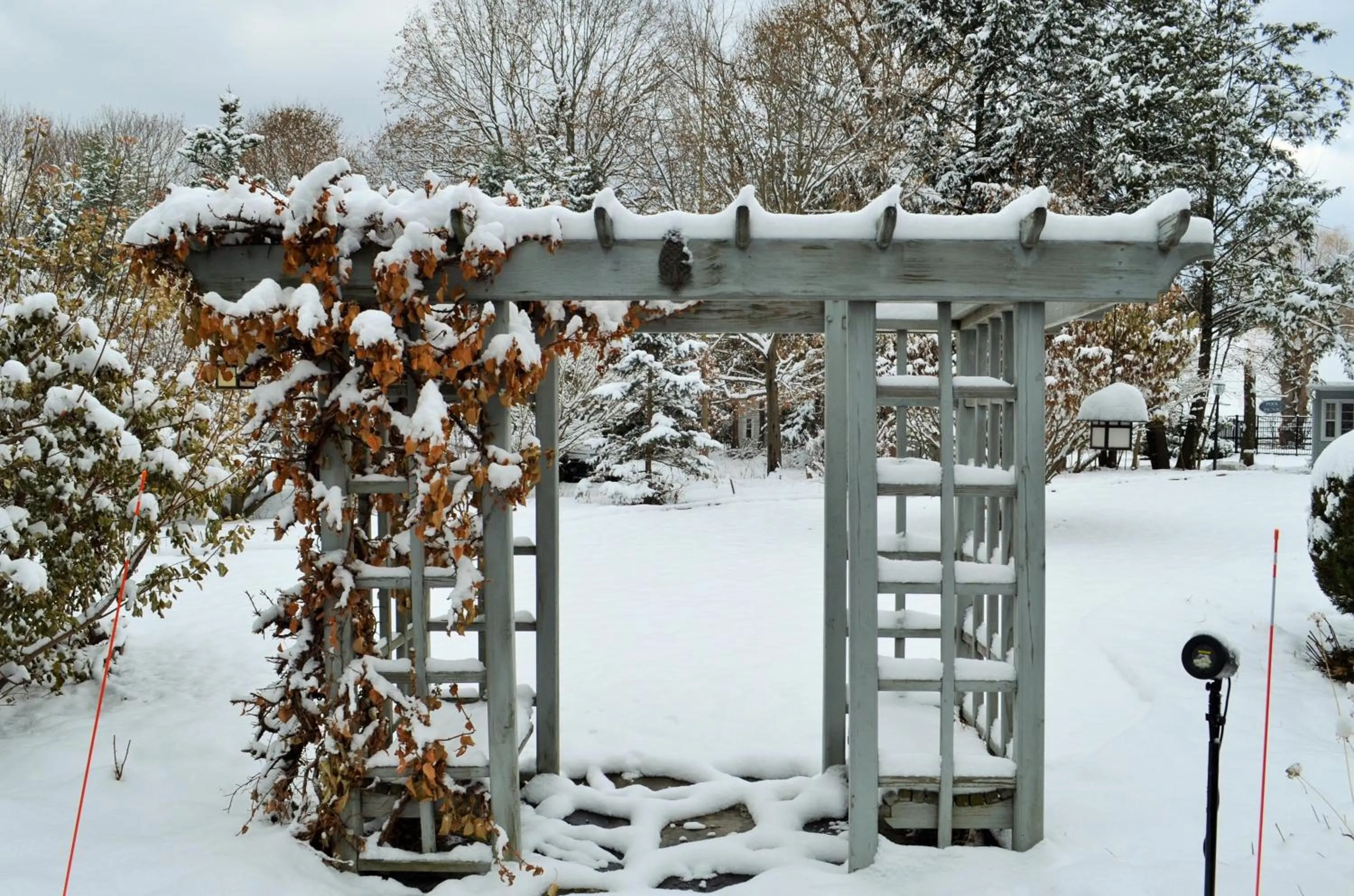 Winter in Maple Terrace Motel