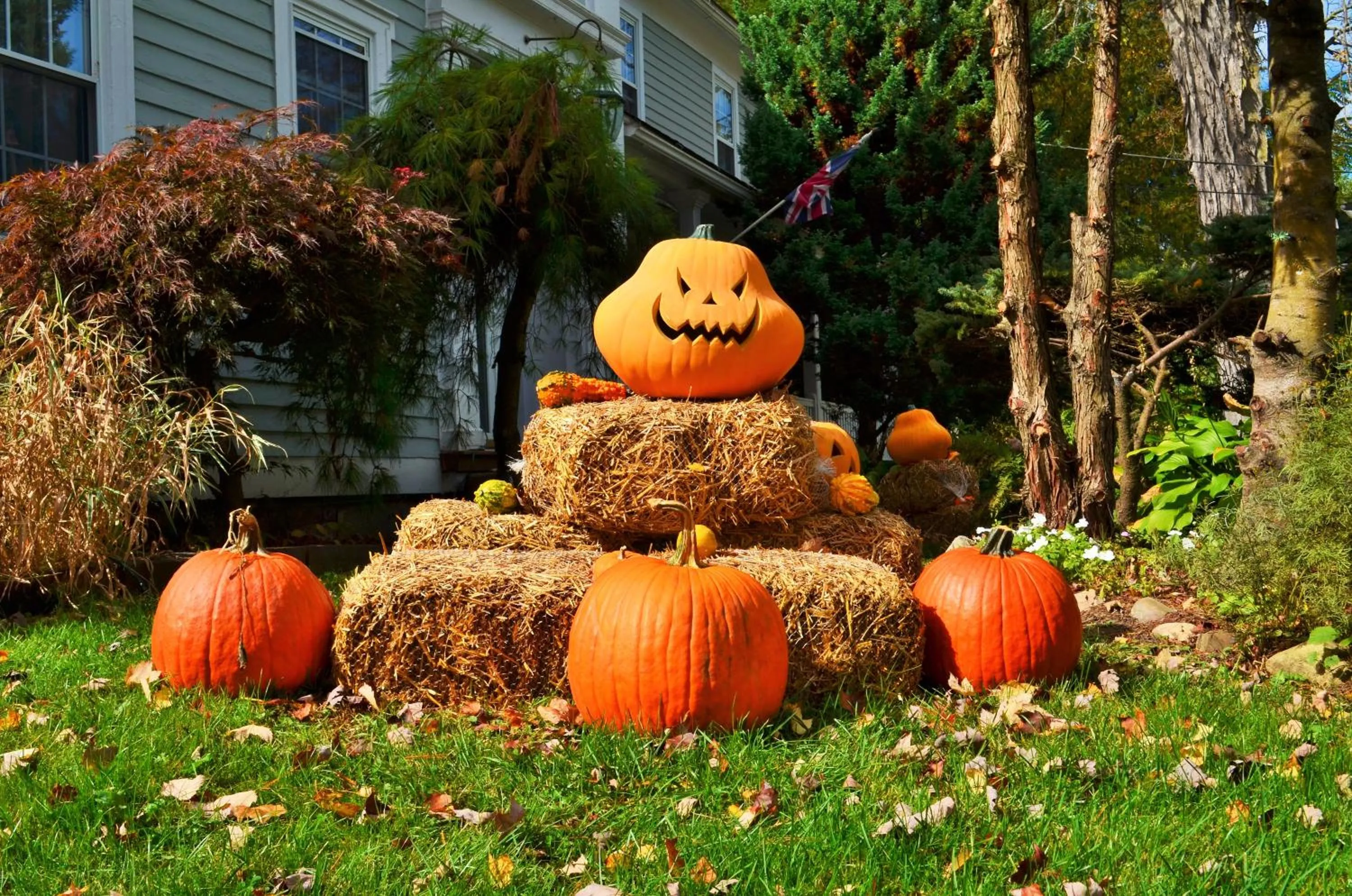 Decorative detail in Maple Terrace Motel