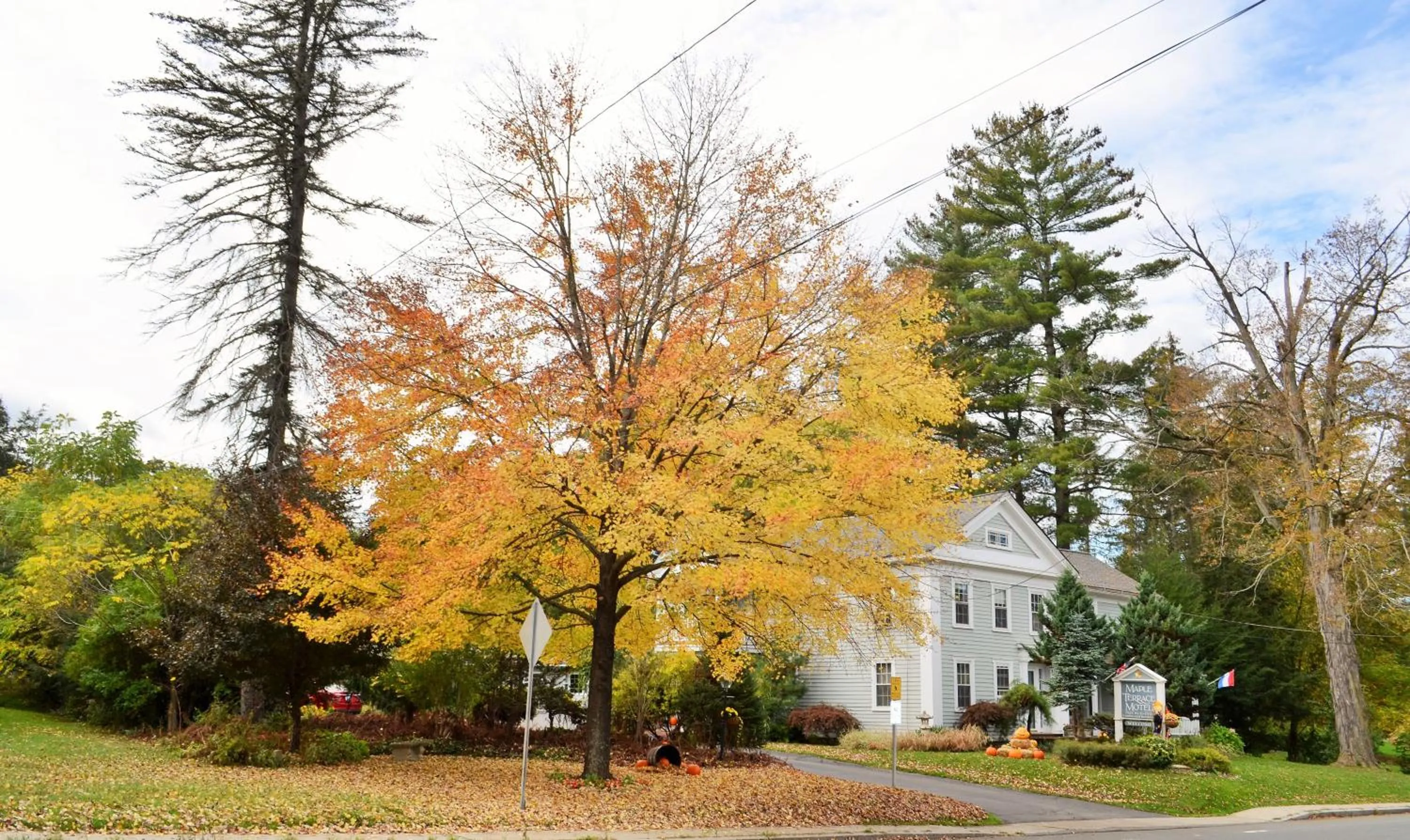 Property building in Maple Terrace Motel