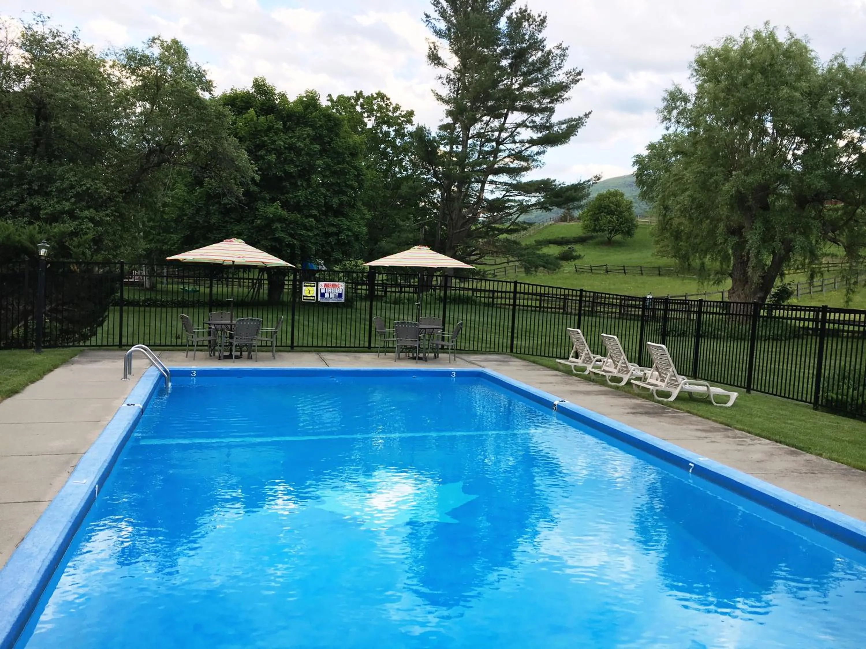 Swimming pool in Maple Terrace Motel
