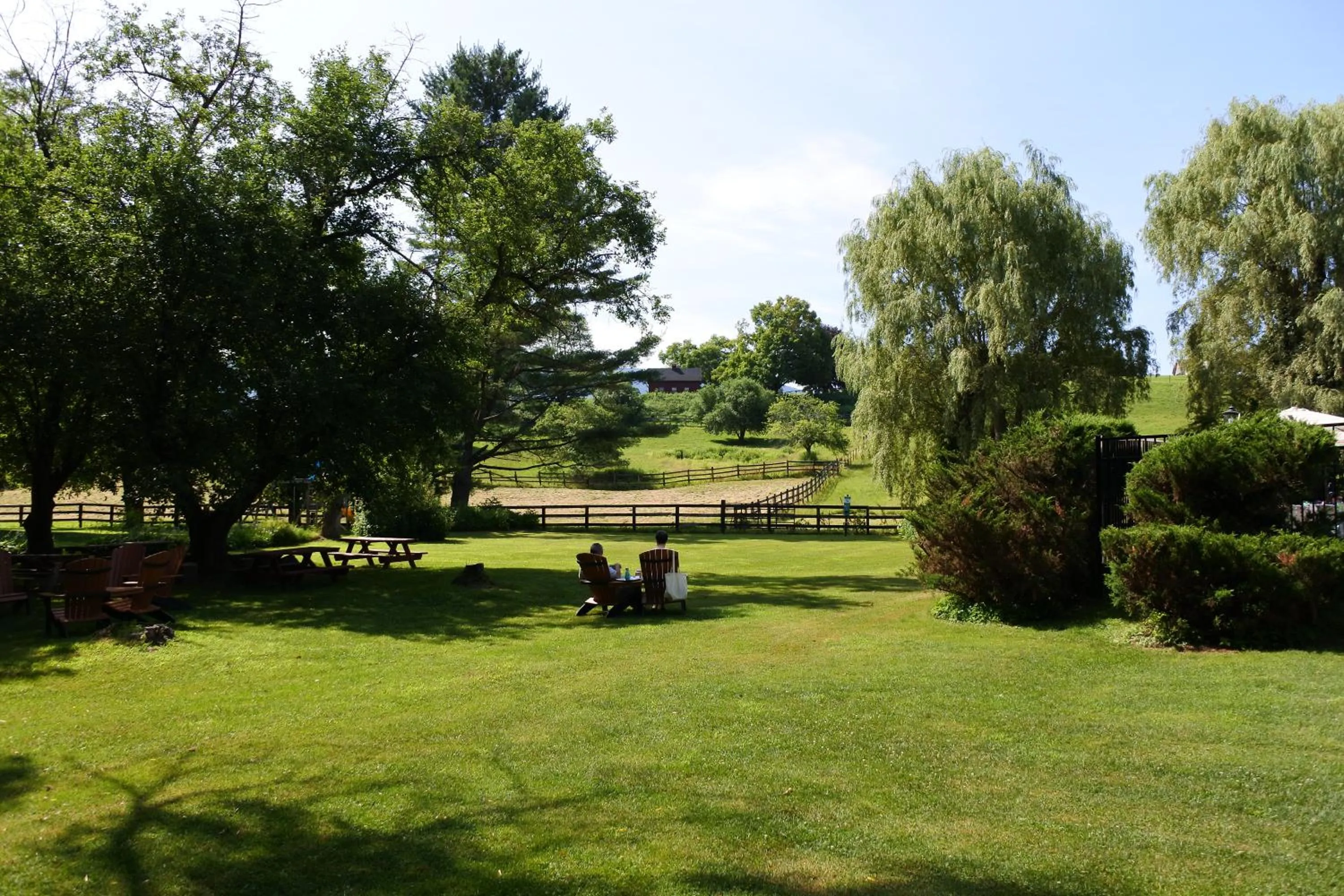 View (from property/room) in Maple Terrace Motel