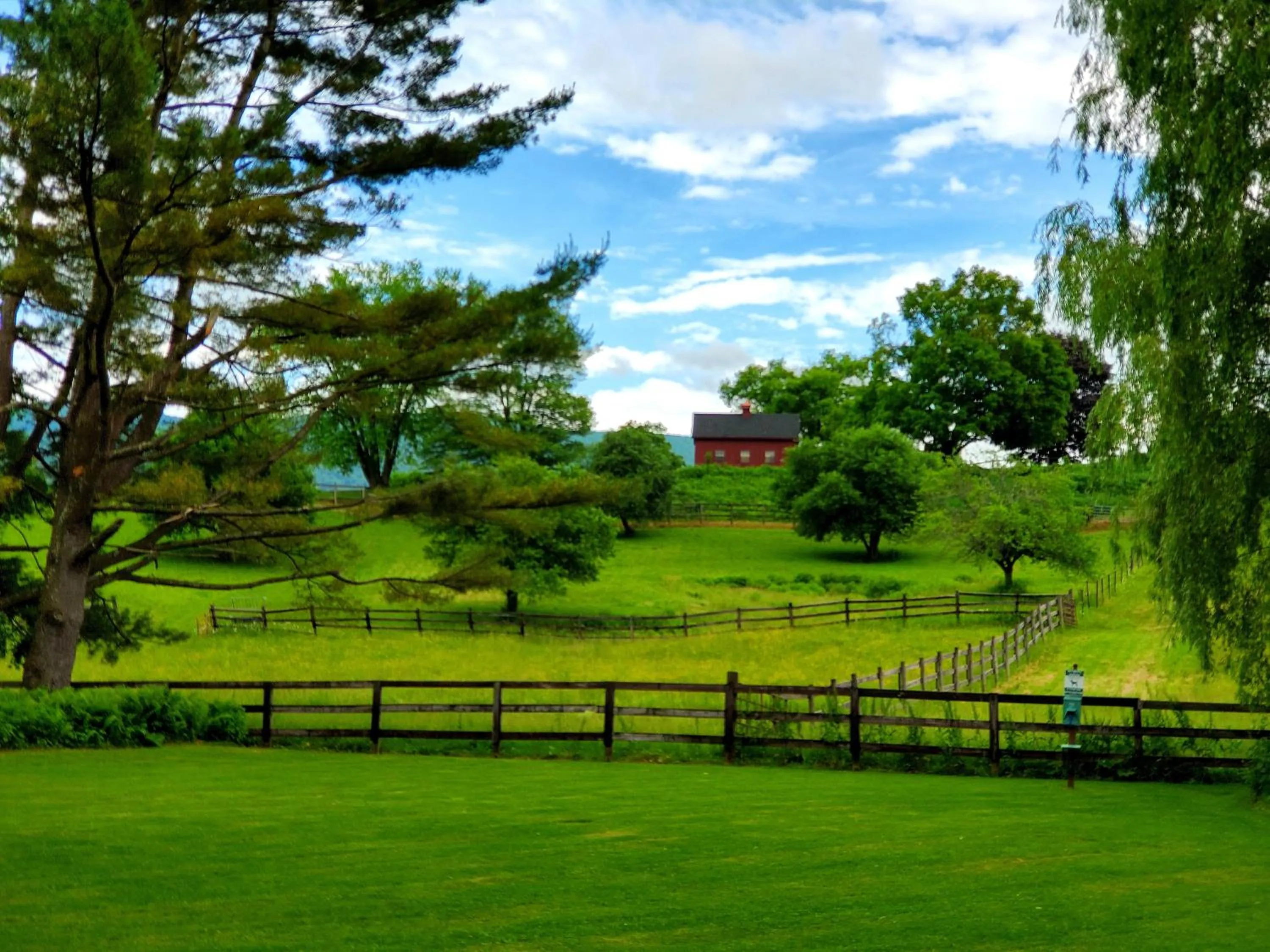 Garden in Maple Terrace Motel