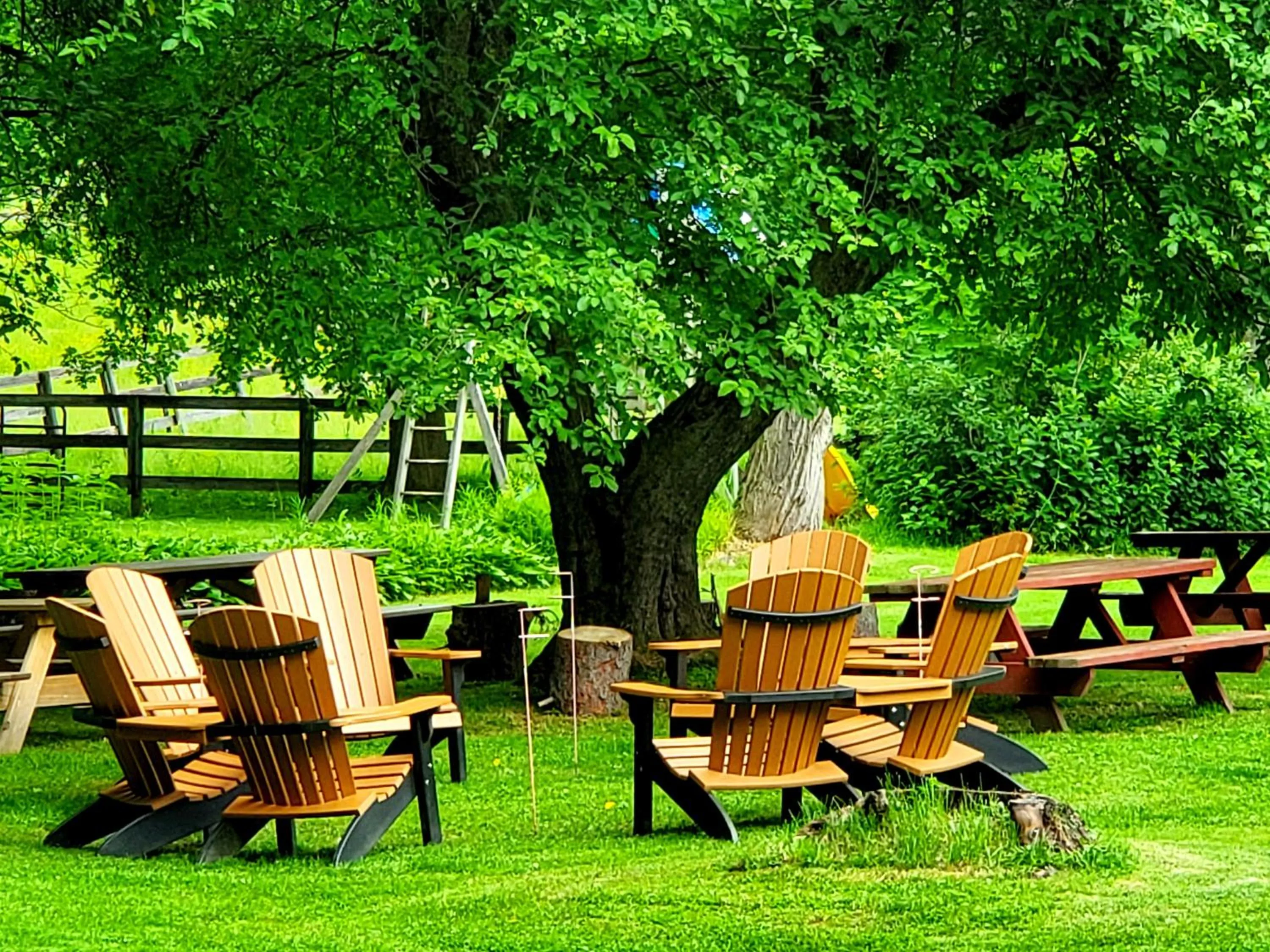 Garden in Maple Terrace Motel