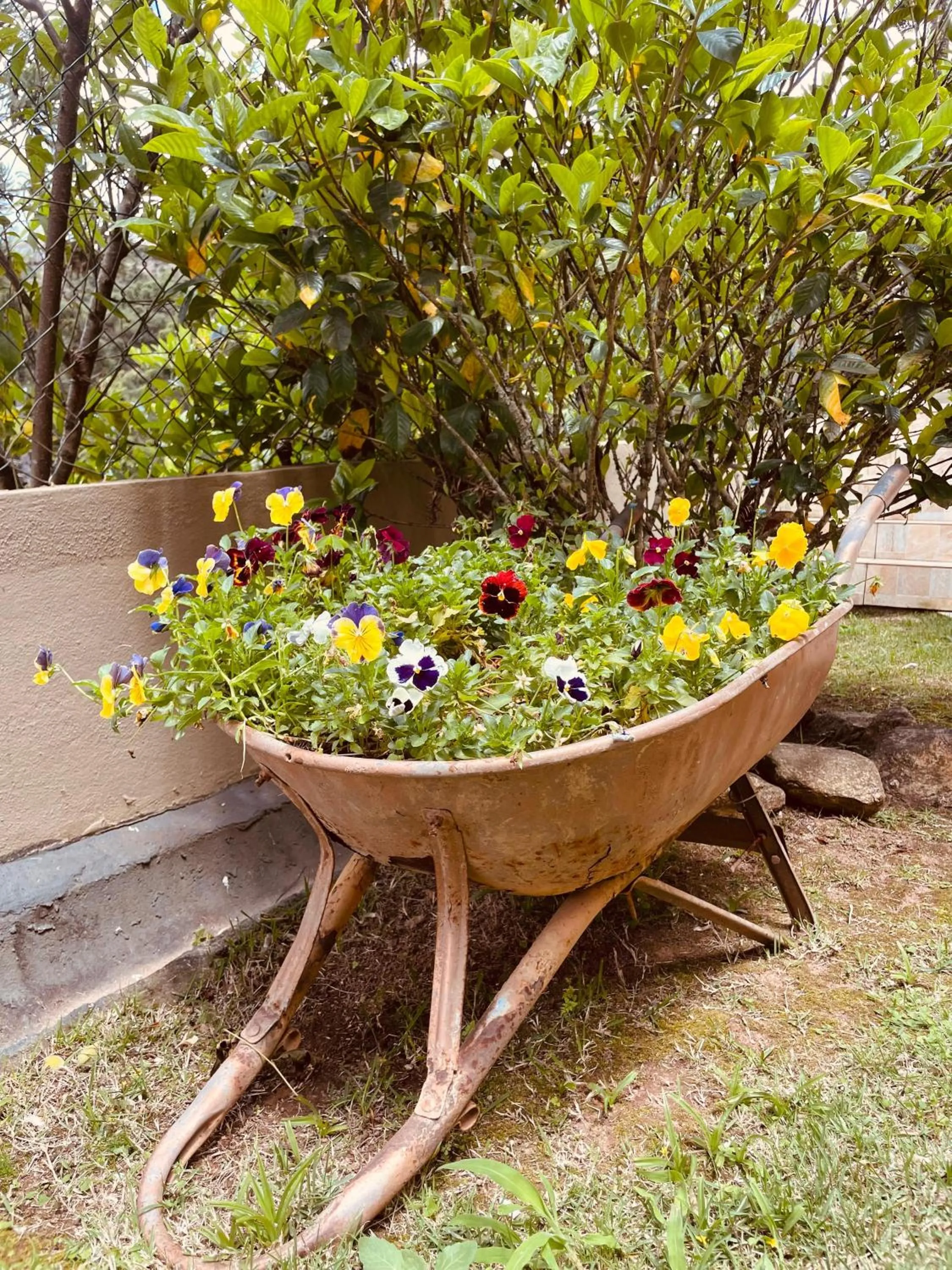 Property building in Pousada Cantinho da Serra