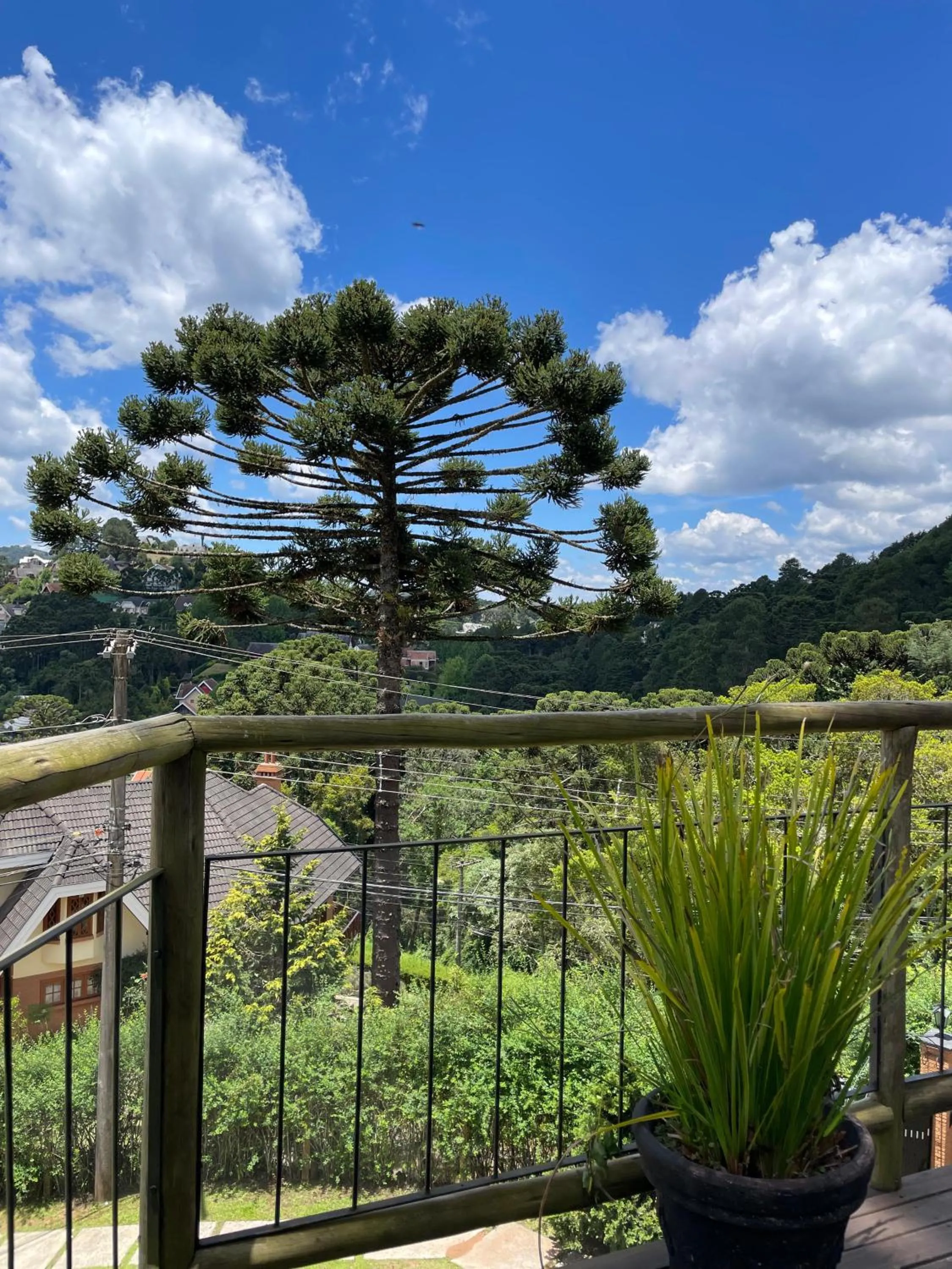 Garden in Pousada Cantinho da Serra