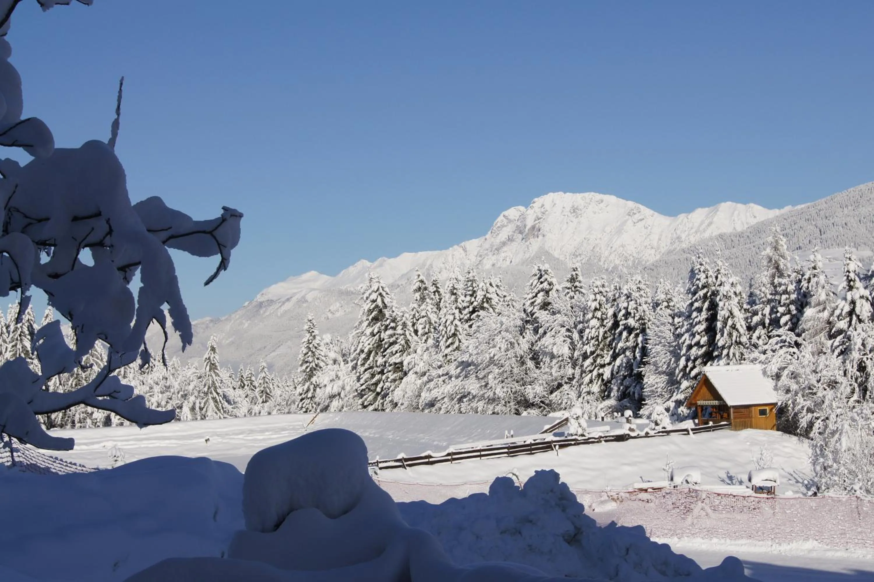 Natural landscape in Aparthotel Ederhof