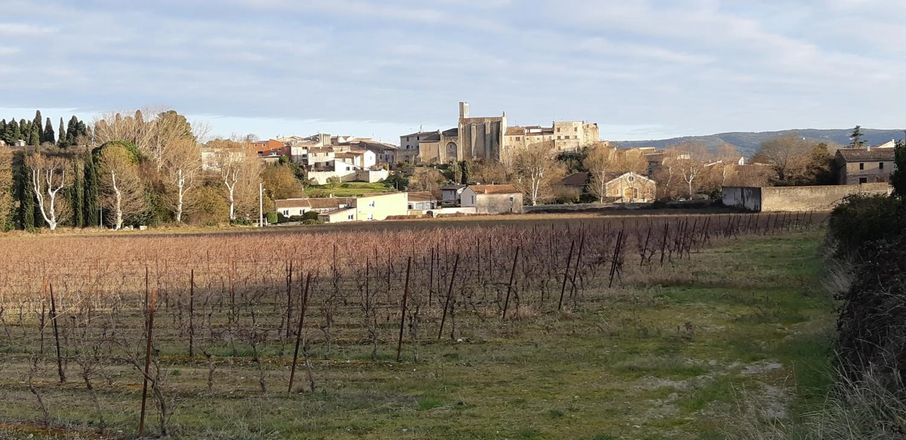 Le jardin bernard PERRIER