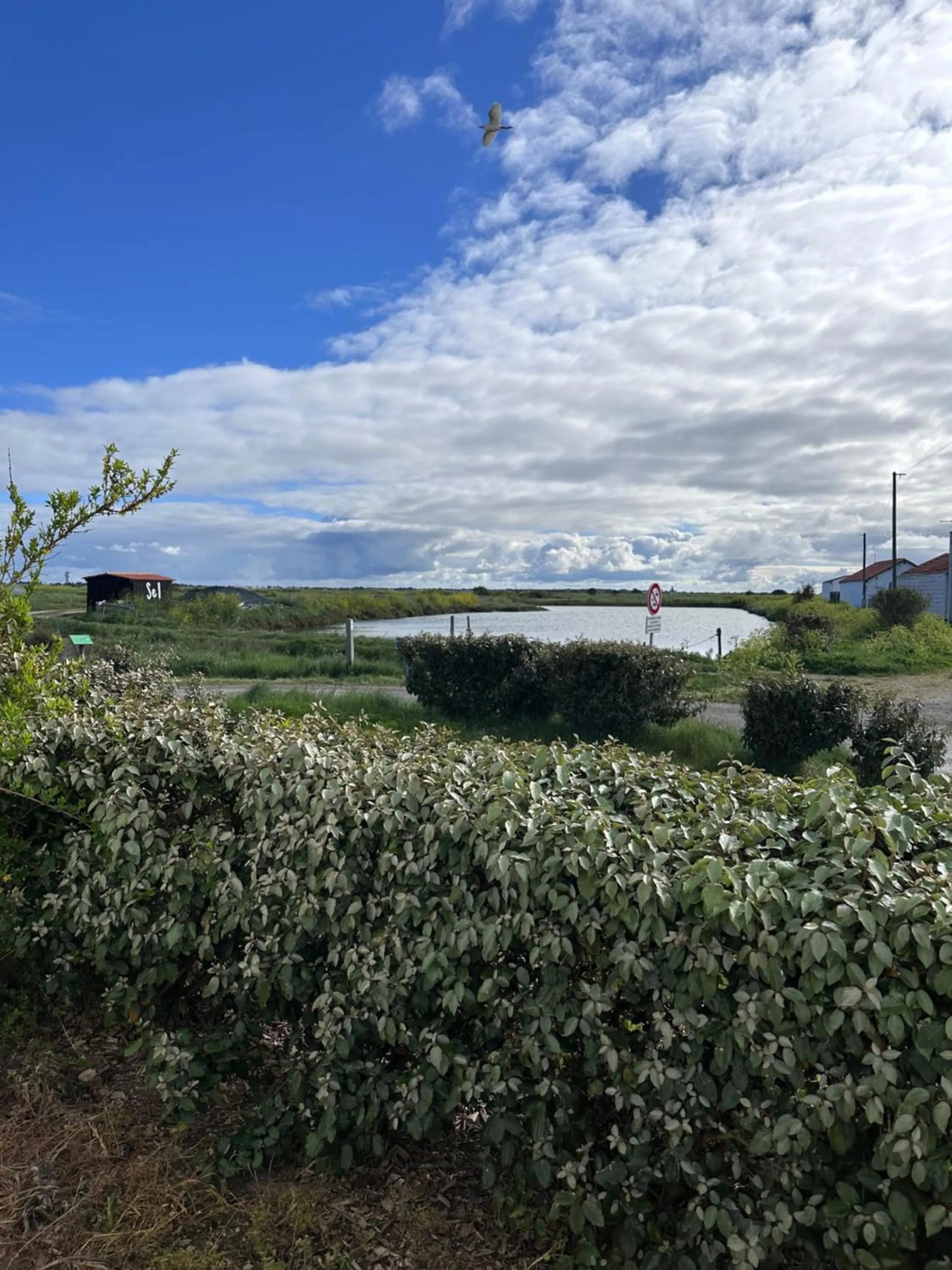 Natural landscape in Hotel Les Esseppes