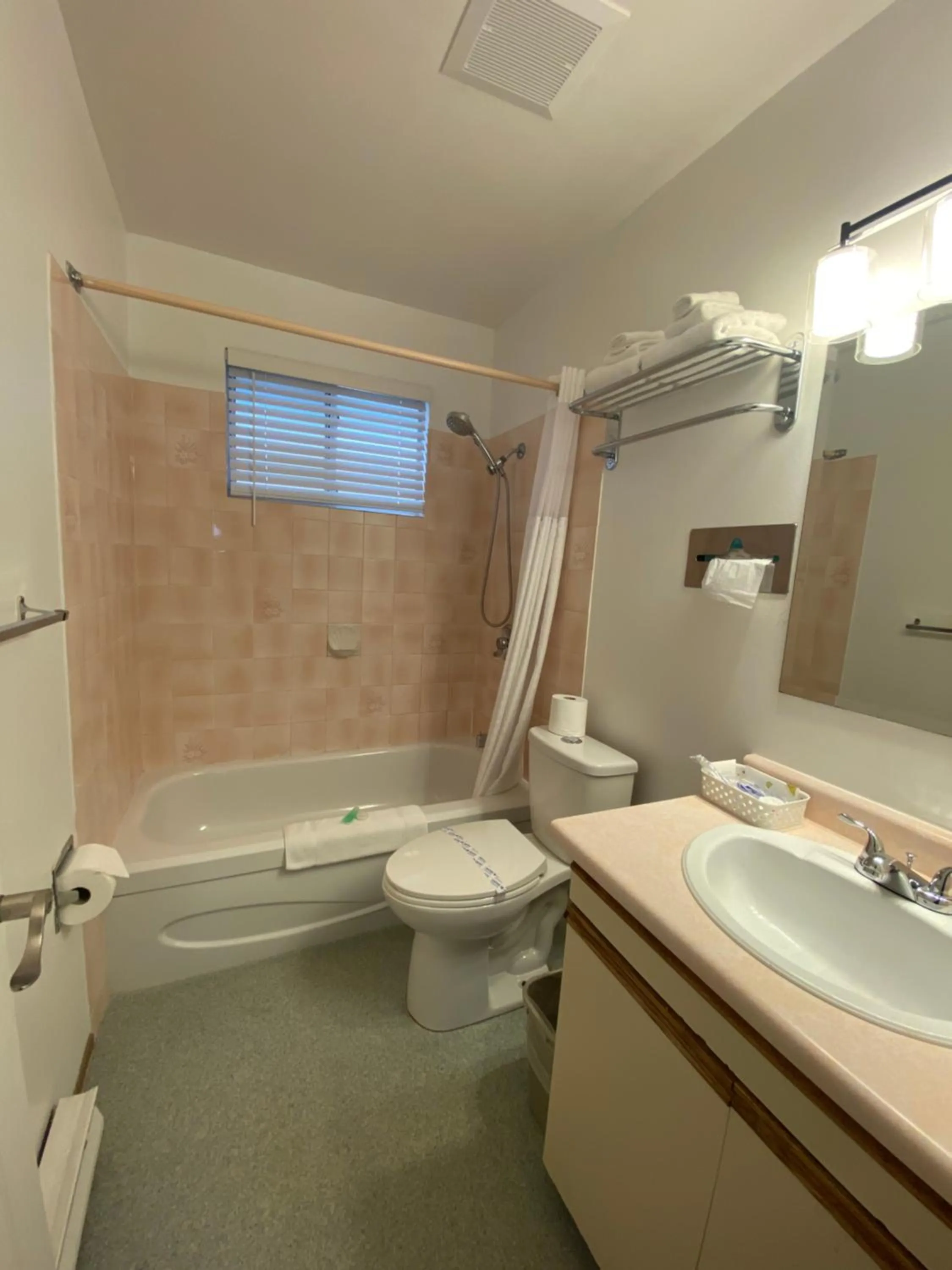 Toilet in Alpine Motel