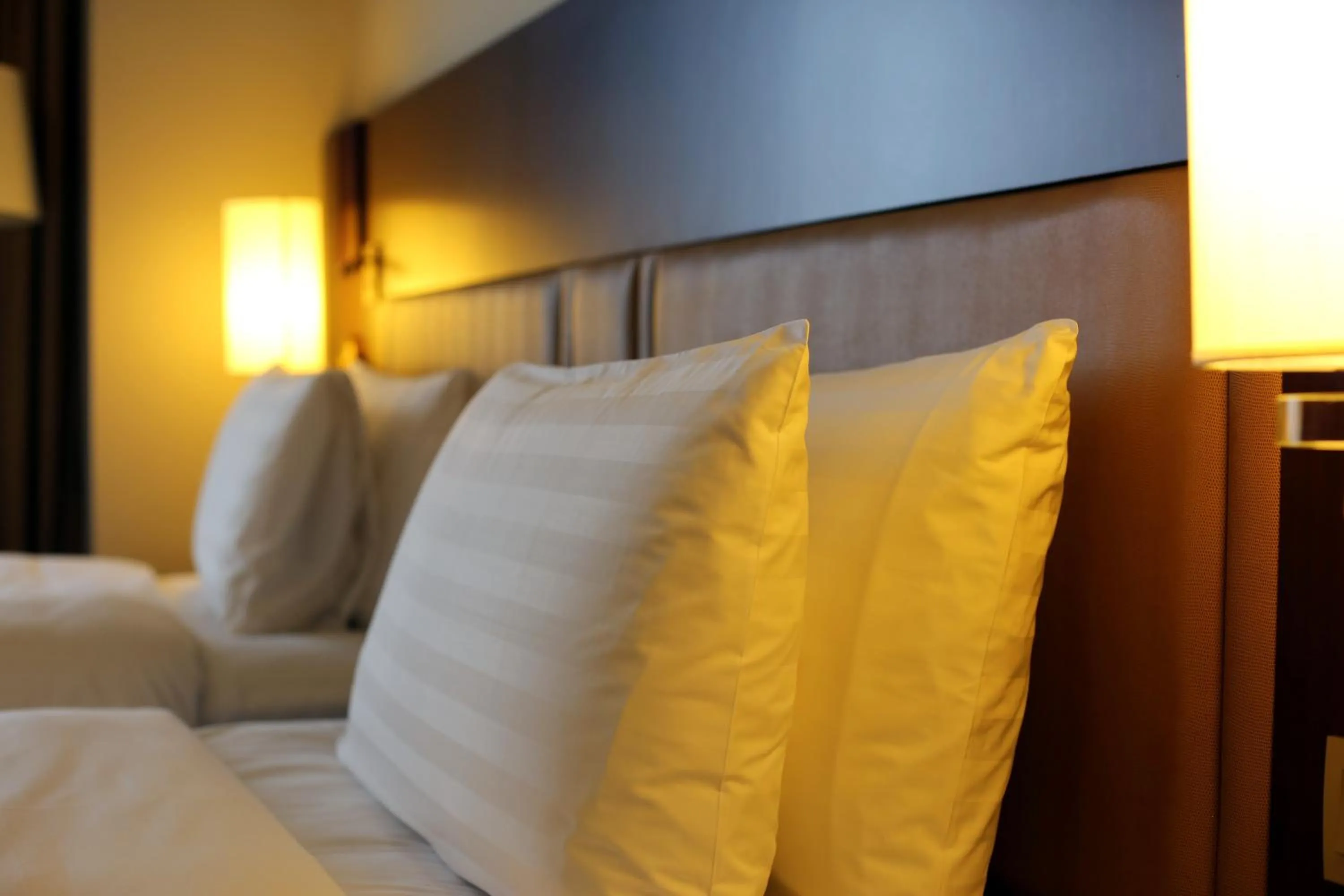 Bed in Shangri-La Manzhouli