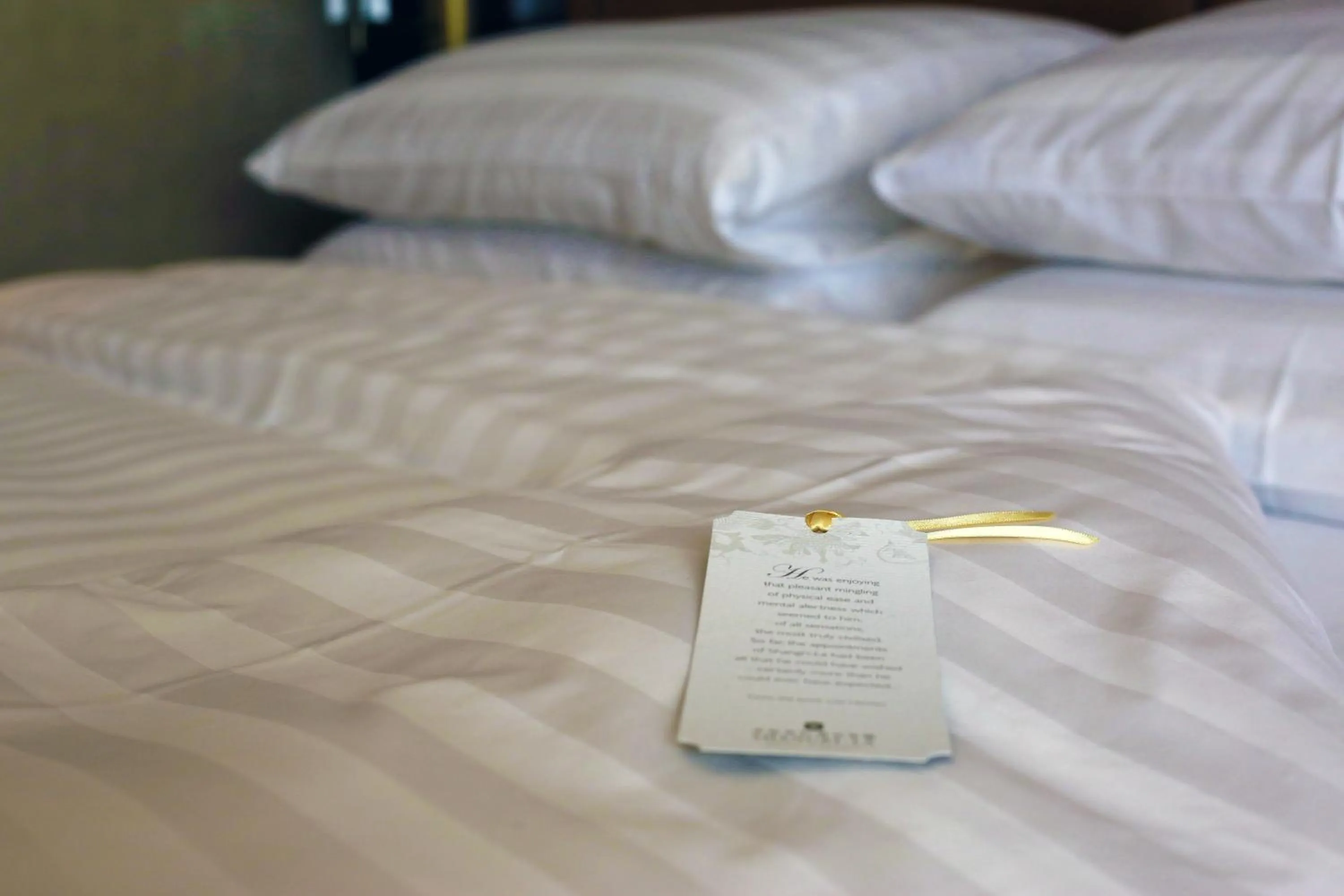 Bed in Shangri-La Manzhouli