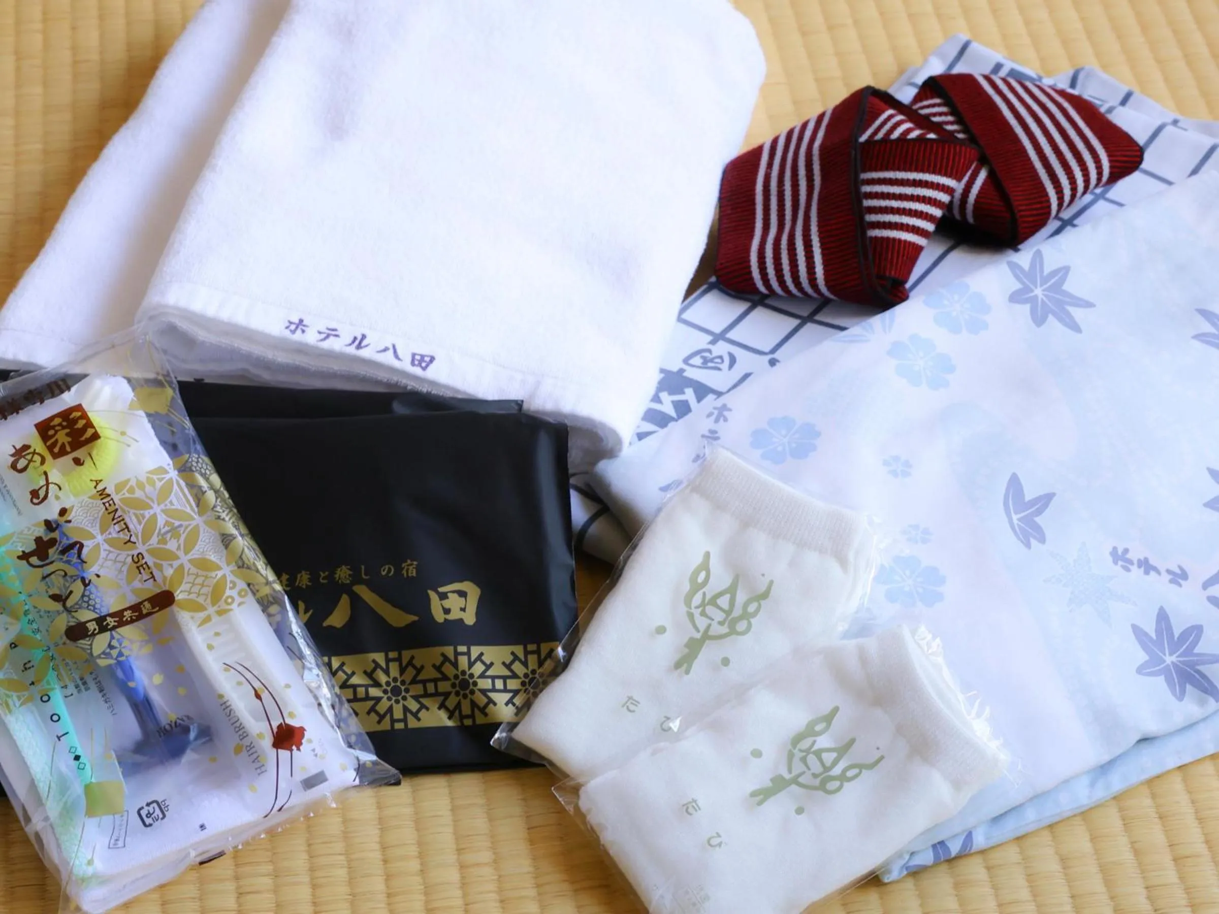 Photo of the whole room in Hotel Hatta