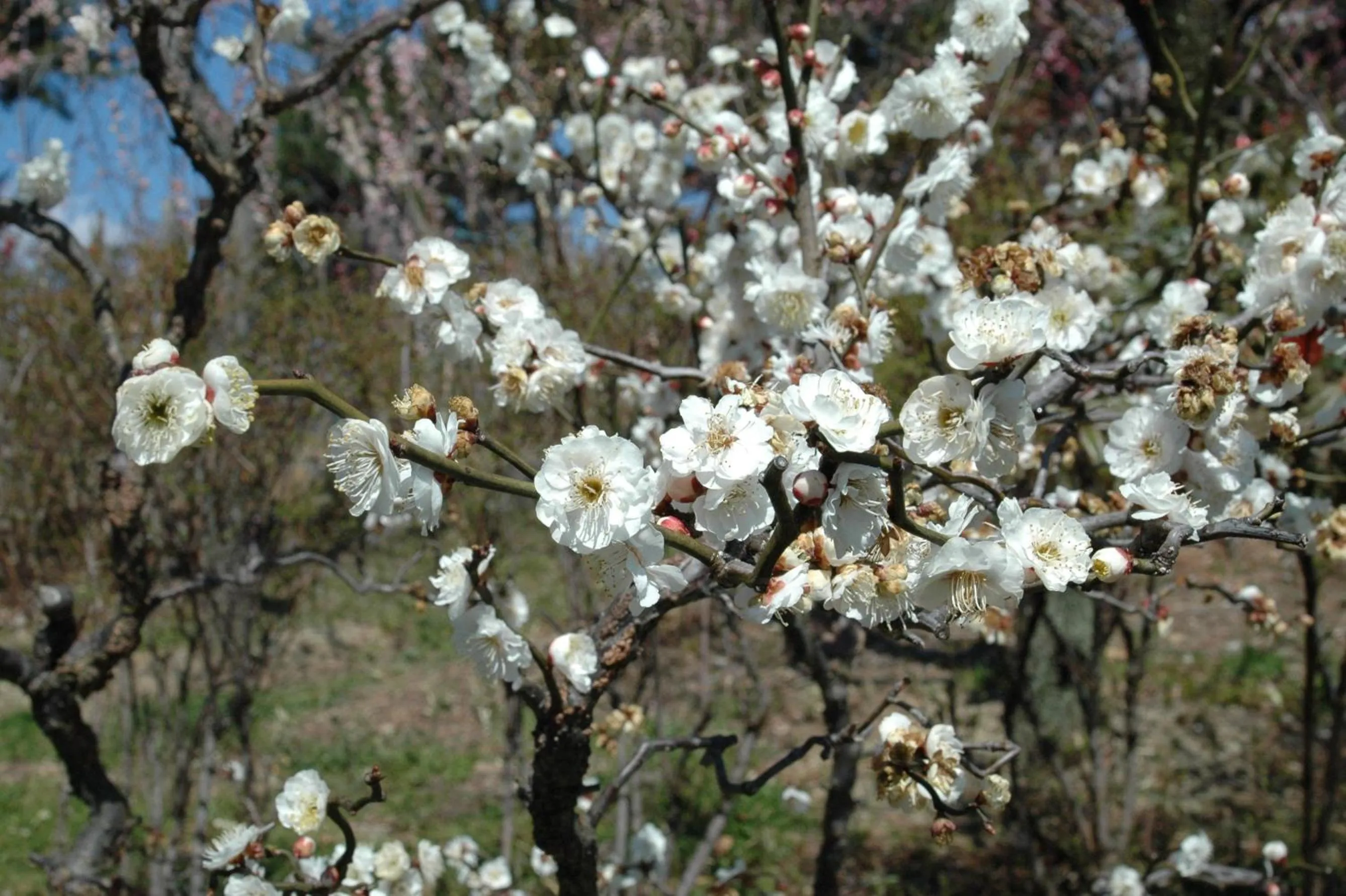 Off site in Hotel Hatta