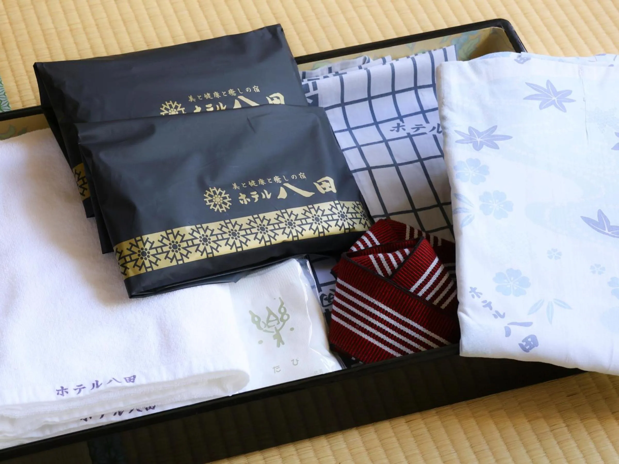 Photo of the whole room in Hotel Hatta