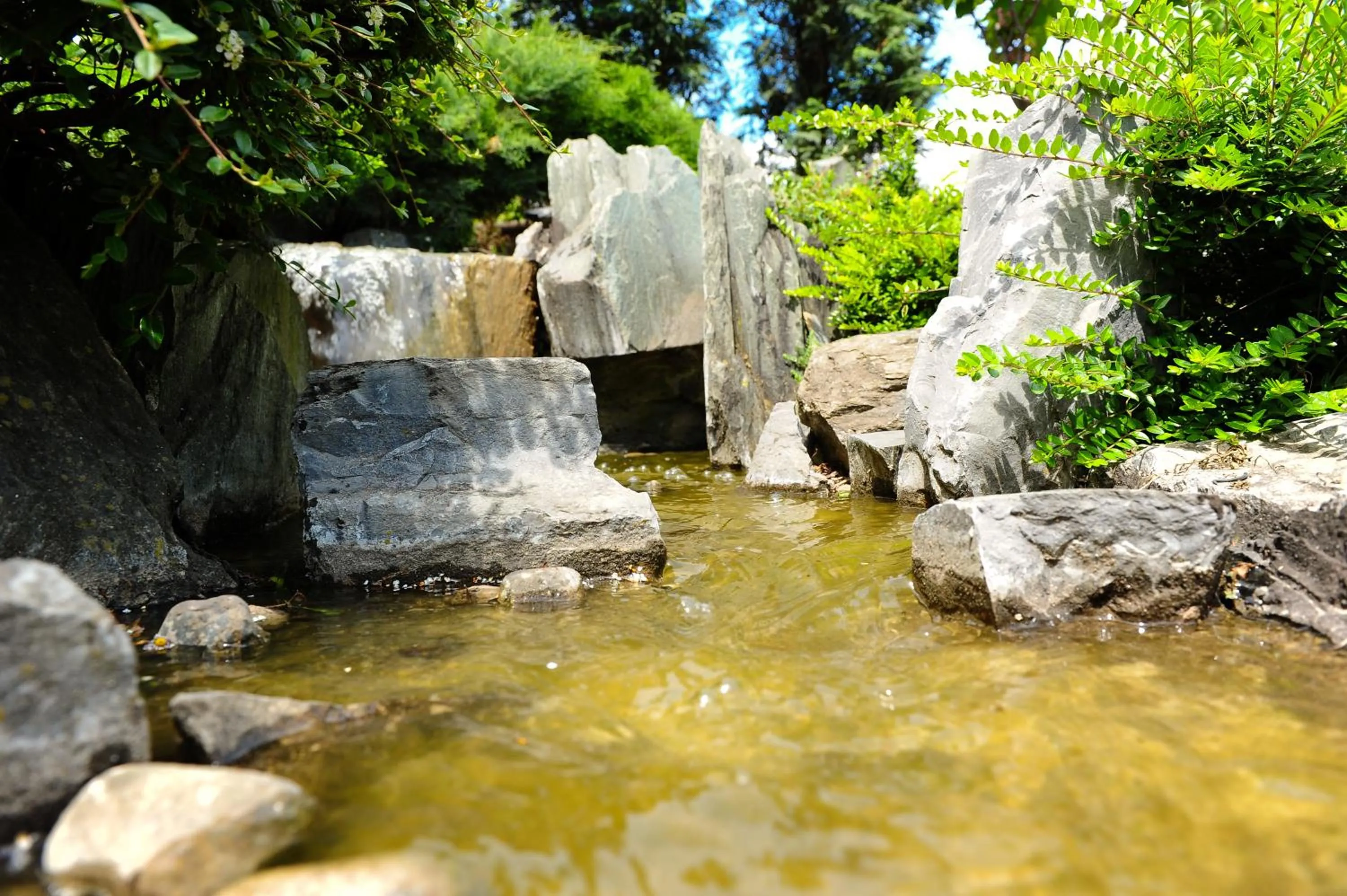 View (from property/room) in Il Carrettino Country Hotel